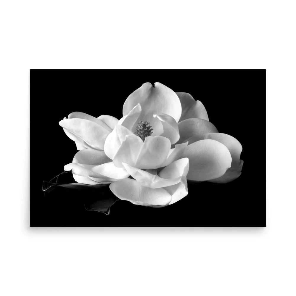 enhanced-matte-paper-poster-(in)-24x36-front-6a9c24273e2f9.jpg