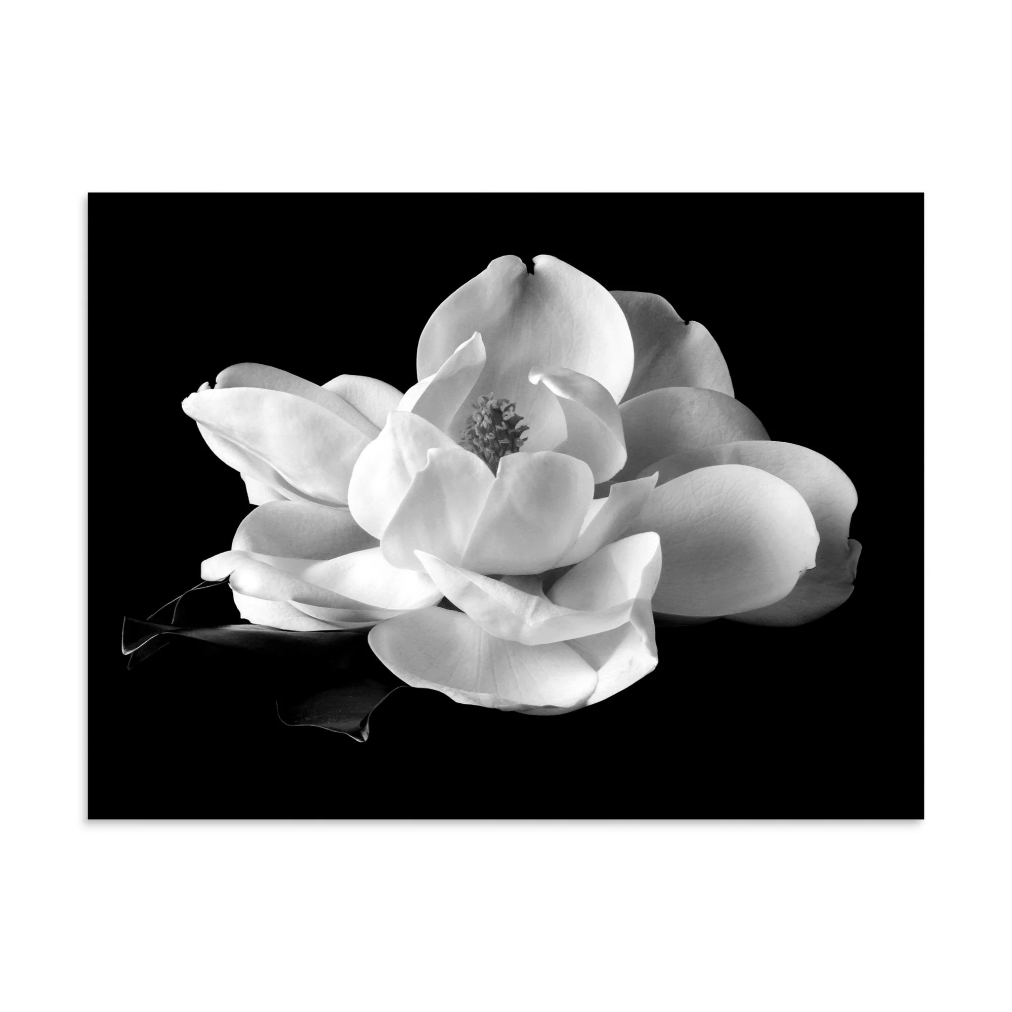 enhanced-matte-paper-poster-(in)-30x40-front-6a9c24273e359.jpg