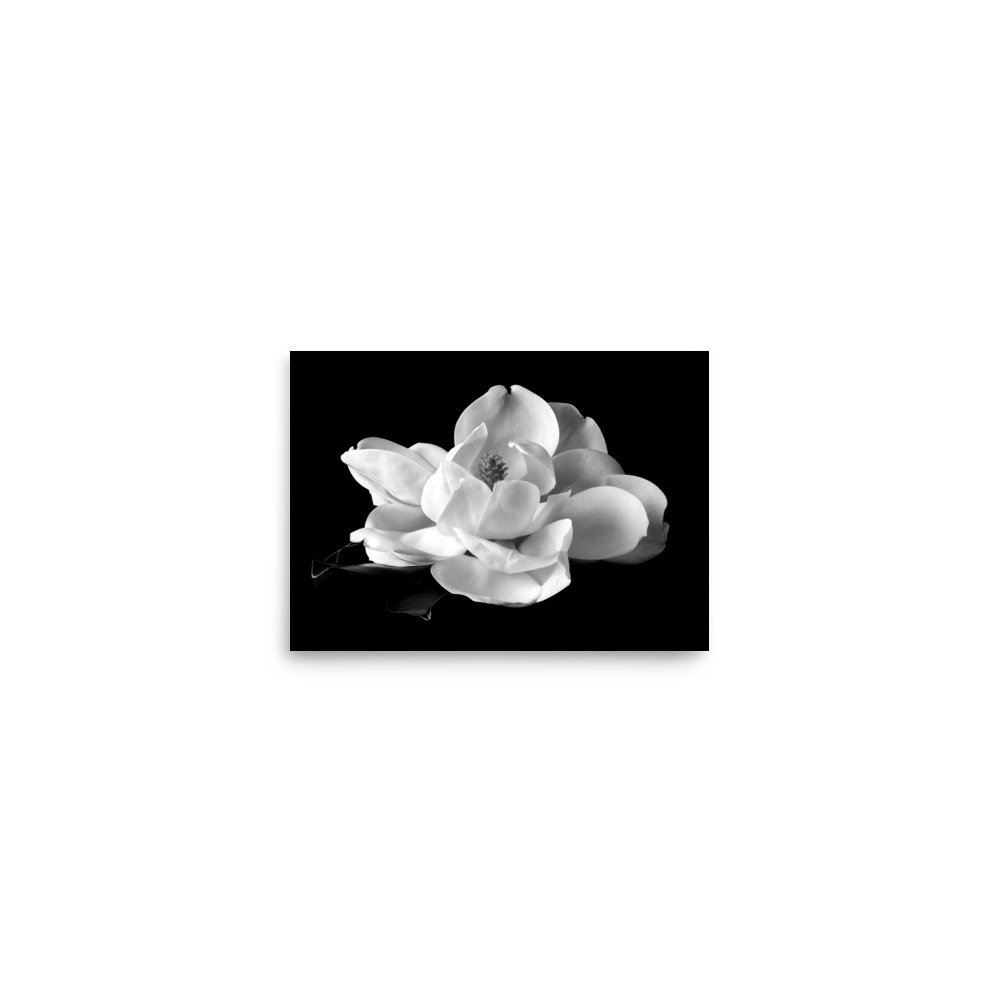 enhanced-matte-paper-poster-(in)-5x7-front-6a9c24273e385.jpg