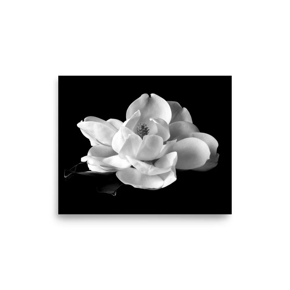 enhanced-matte-paper-poster-(in)-8x10-front-6a9c24273e3d0.jpg