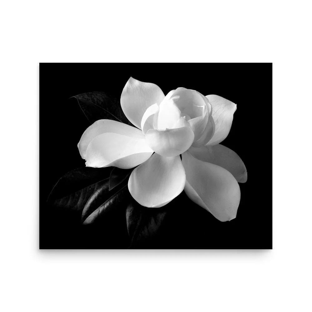 enhanced-matte-paper-poster-(in)-16x20-front-6a9c290c059e4.jpg