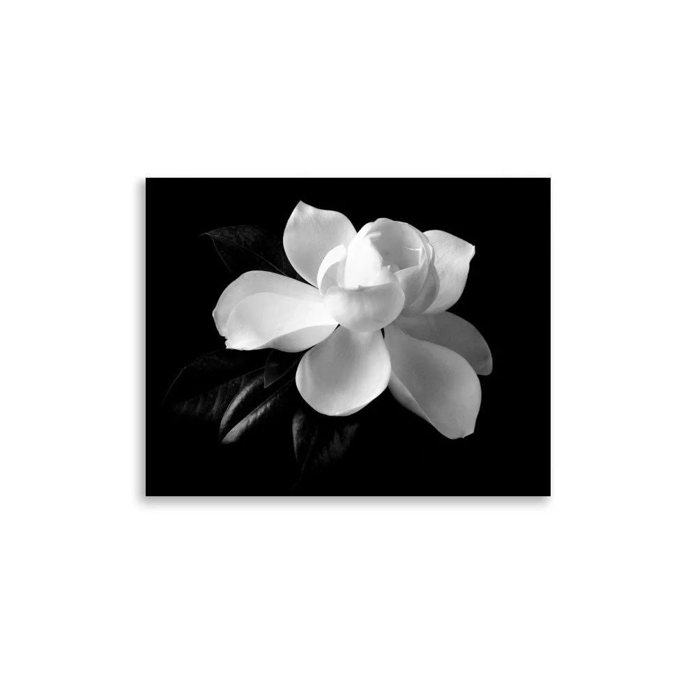 enhanced-matte-paper-poster-(in)-11x14-front-6a9c290c0623b.jpg