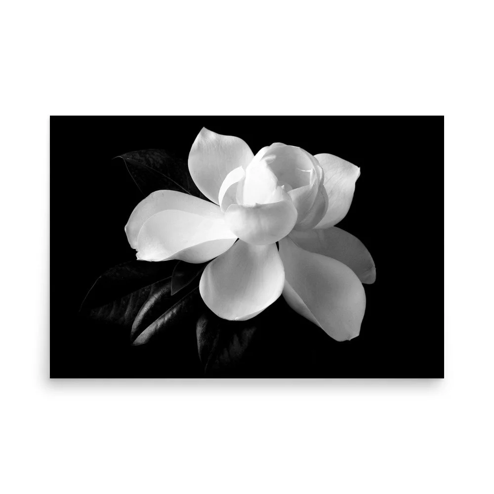 enhanced-matte-paper-poster-(in)-24x36-front-6a9c290c062c6.jpg