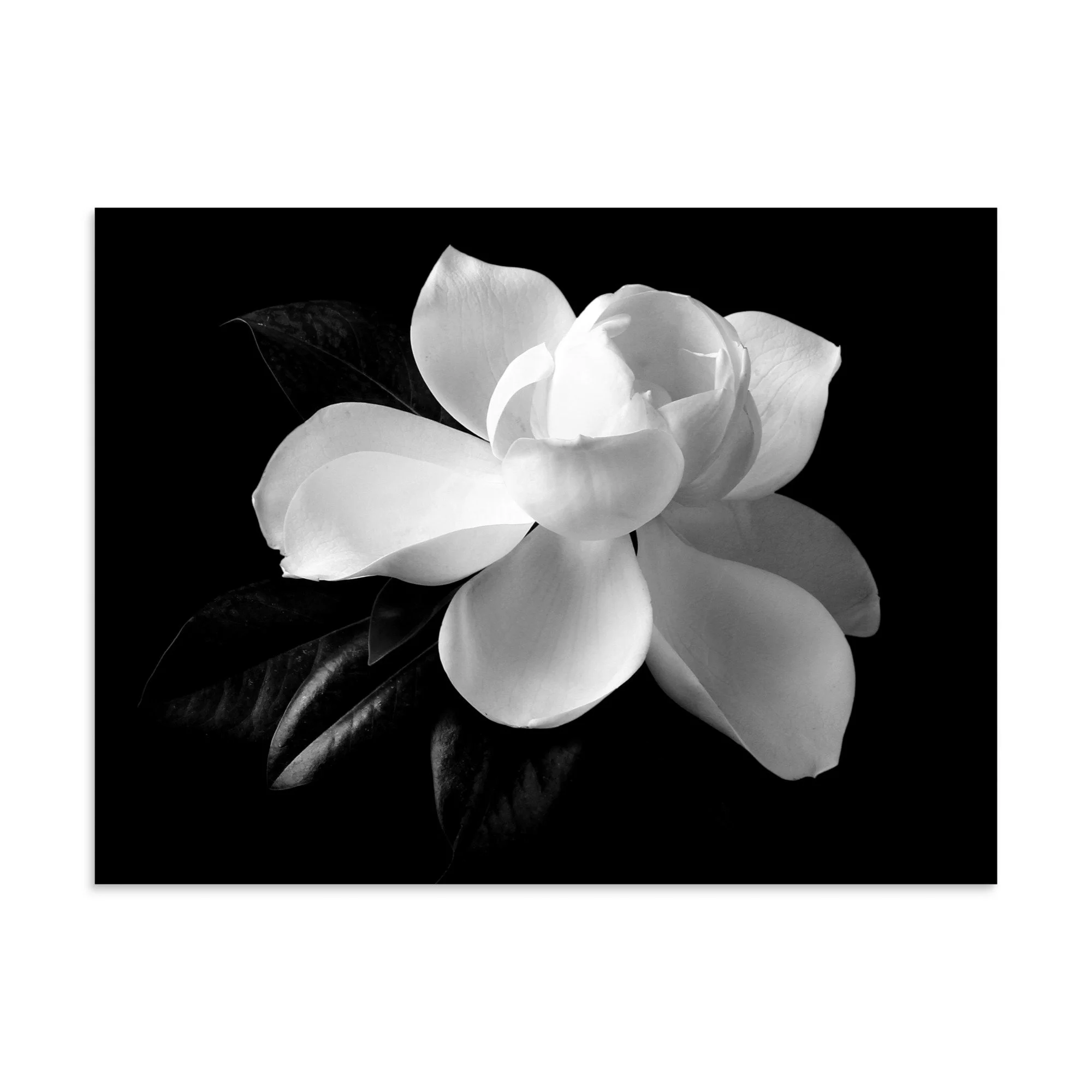 enhanced-matte-paper-poster-(in)-30x40-front-6a9c290c0630f.jpg