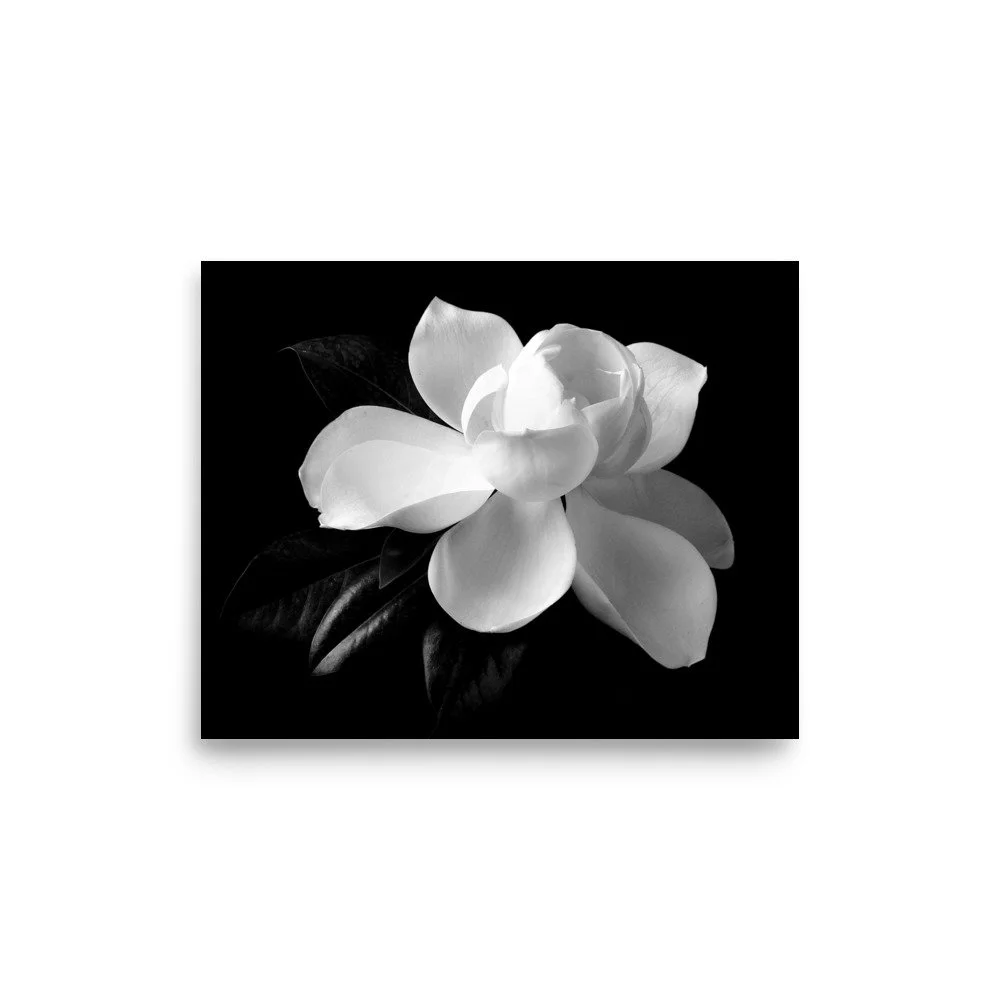 enhanced-matte-paper-poster-(in)-8x10-front-6a9c290c06366.jpg