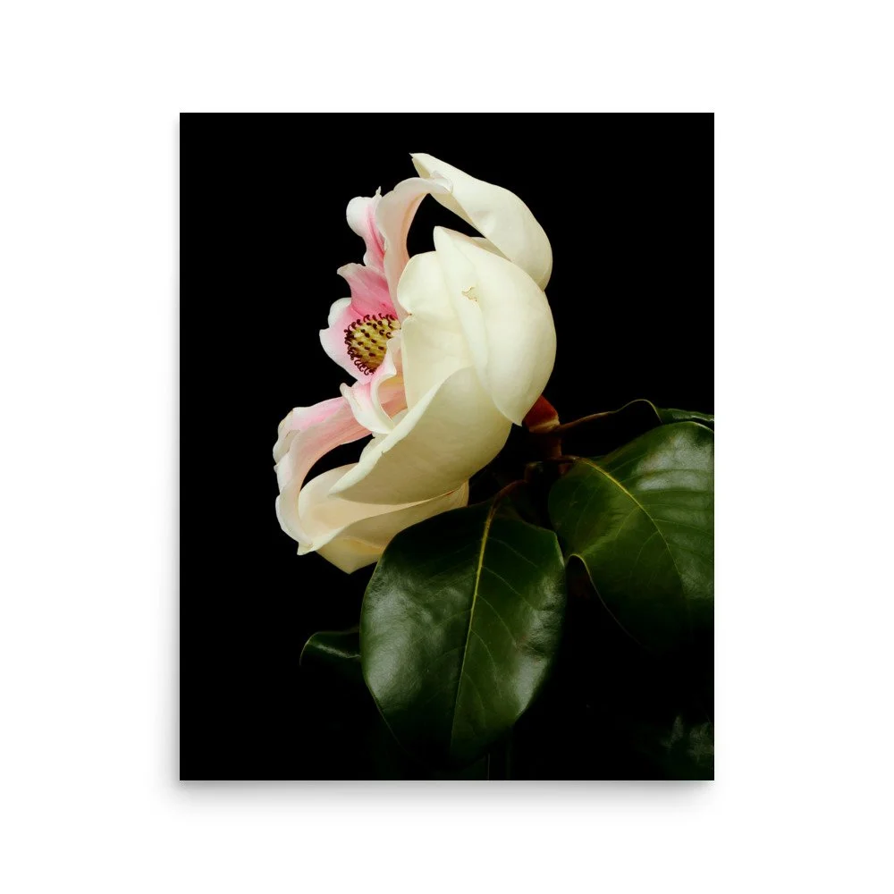 enhanced-matte-paper-poster-(in)-16x20-front-6a9d7cffab545.jpg