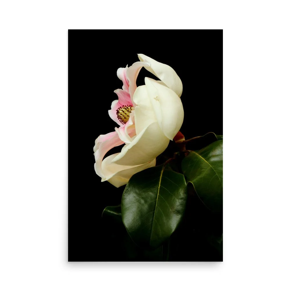 enhanced-matte-paper-poster-(in)-24x36-front-6a9d7cffac6db.jpg