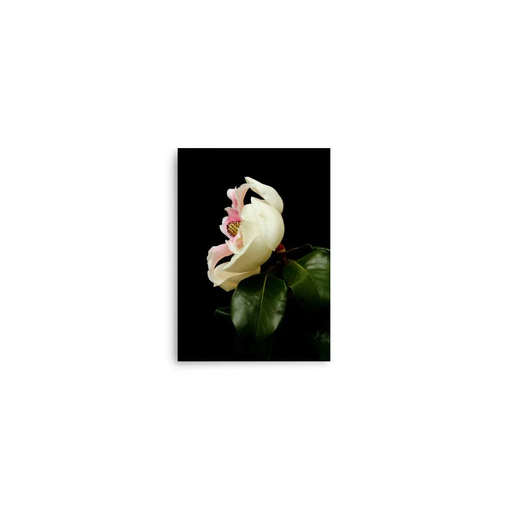 enhanced-matte-paper-poster-(in)-5x7-front-6a9d7cffac74d.jpg