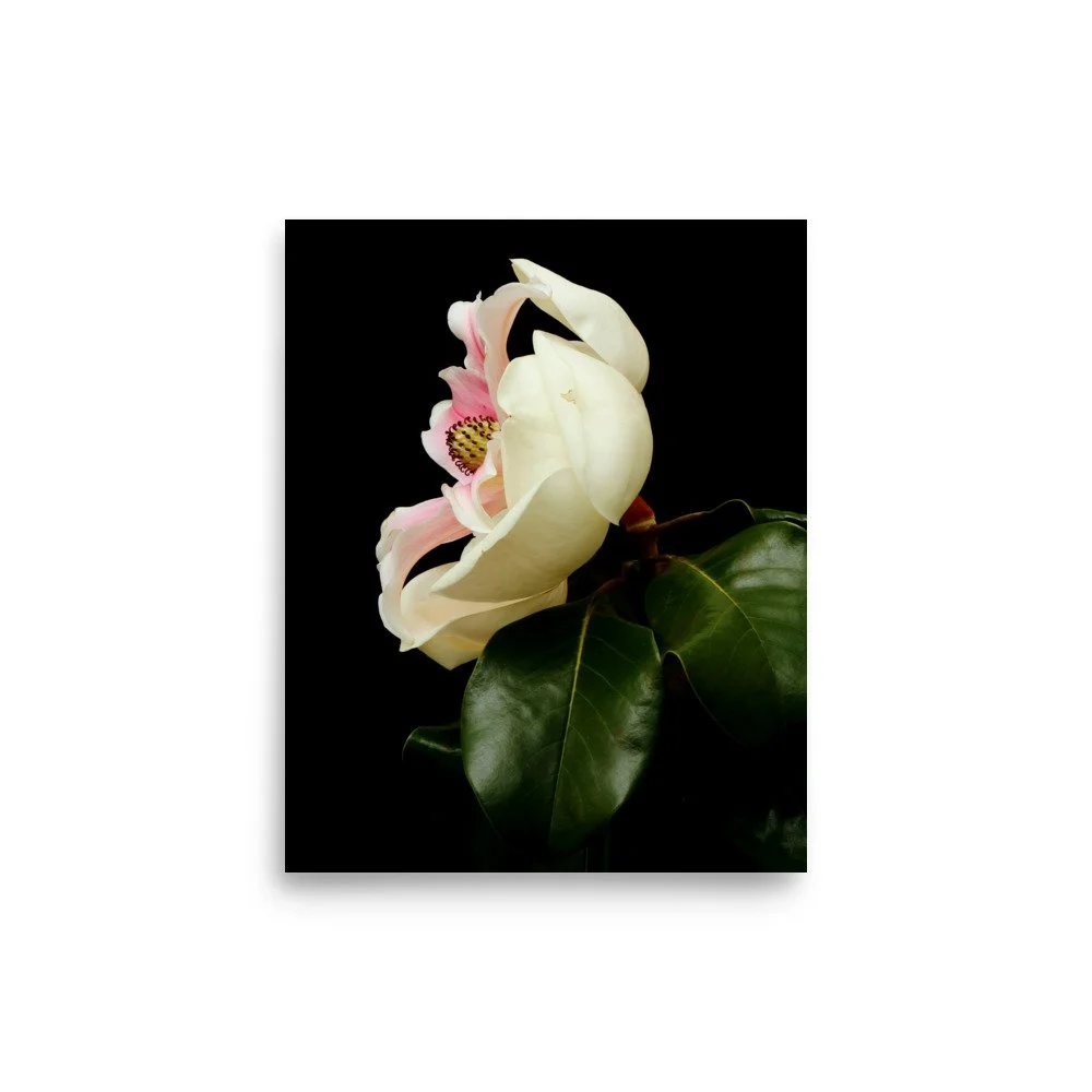 enhanced-matte-paper-poster-(in)-8x10-front-6a9d7cffac78d.jpg