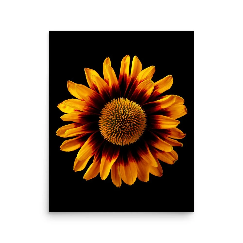 enhanced-matte-paper-poster-(in)-16x20-front-6a9d82a40898c.jpg