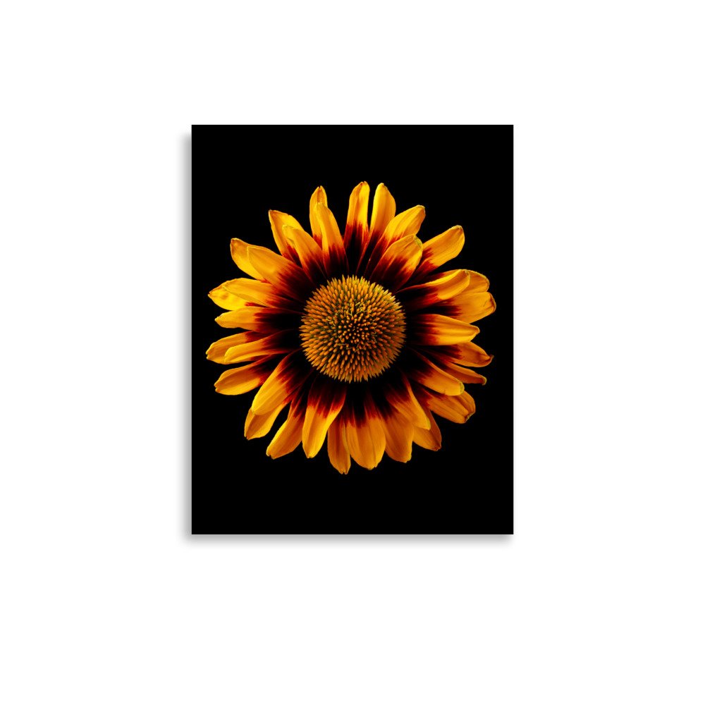enhanced-matte-paper-poster-(in)-11x14-front-6a9d82a4091f7.jpg
