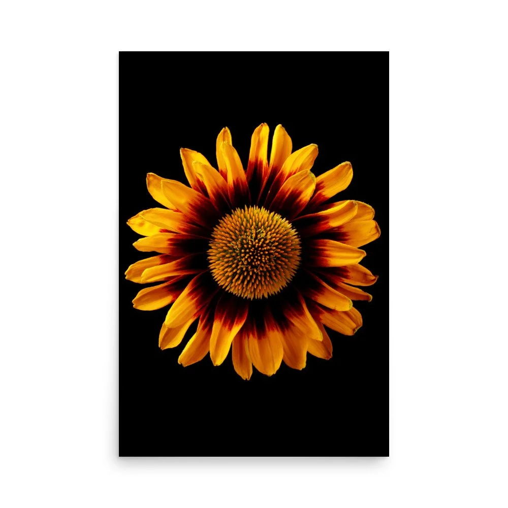 enhanced-matte-paper-poster-(in)-24x36-front-6a9d82a4092a0.jpg
