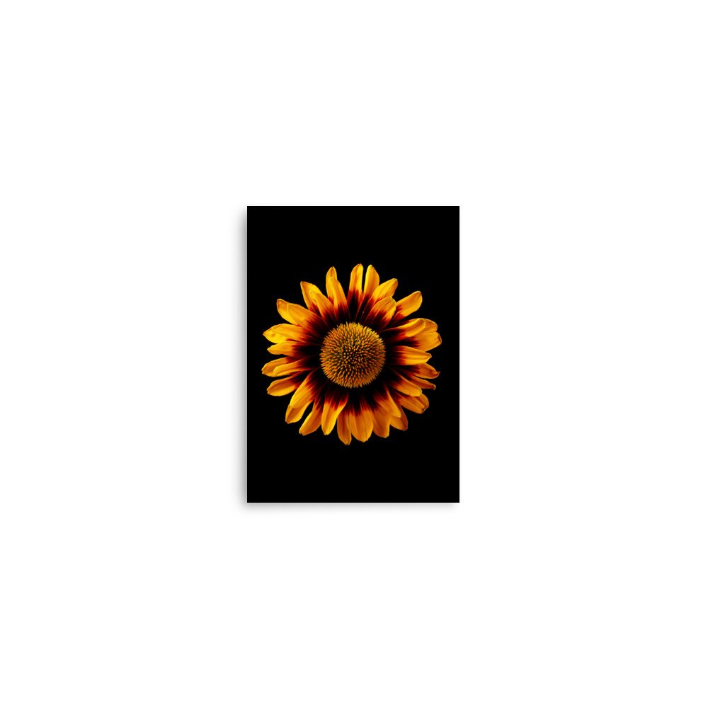 enhanced-matte-paper-poster-(in)-5x7-front-6a9d82a409309.jpg