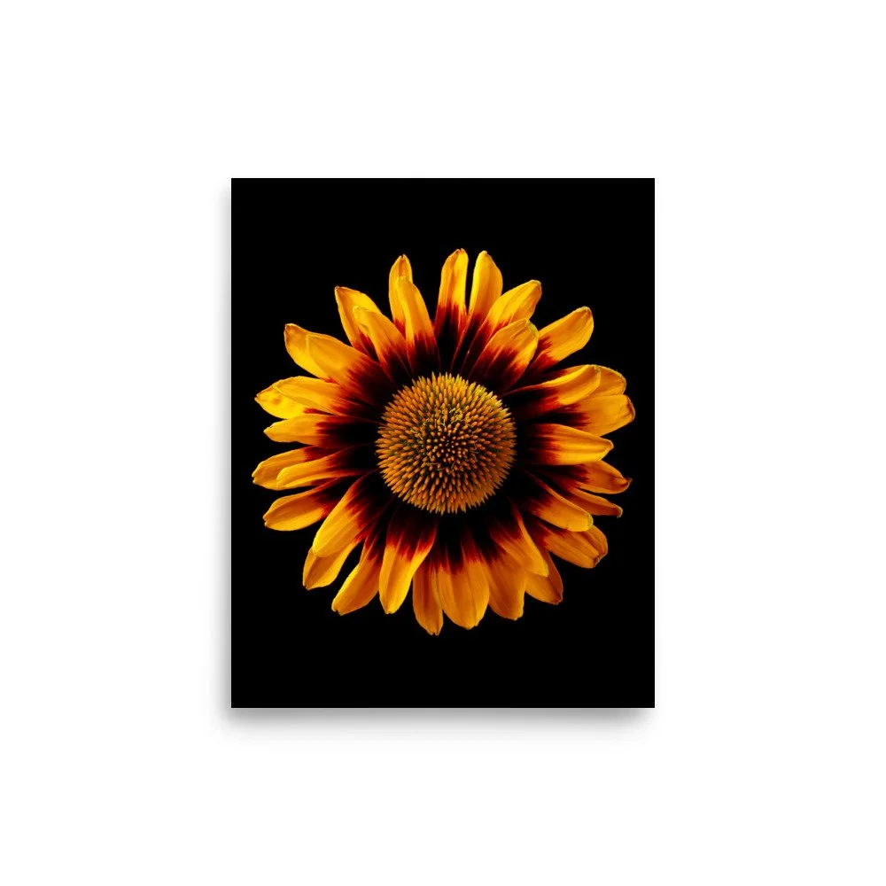 enhanced-matte-paper-poster-(in)-8x10-front-6a9d82a40933f.jpg