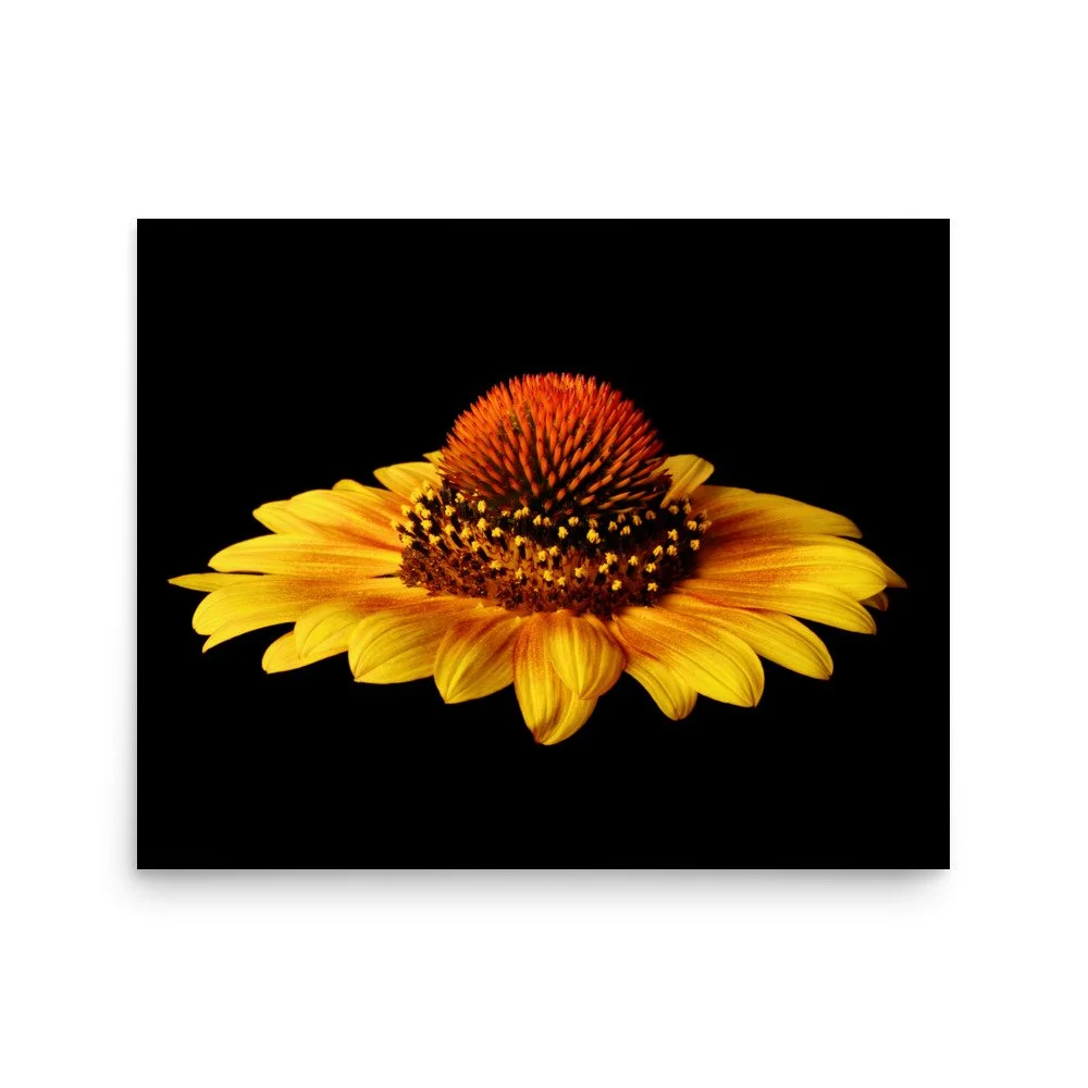 enhanced-matte-paper-poster-(in)-16x20-front-6a9d8627d0f13.jpg