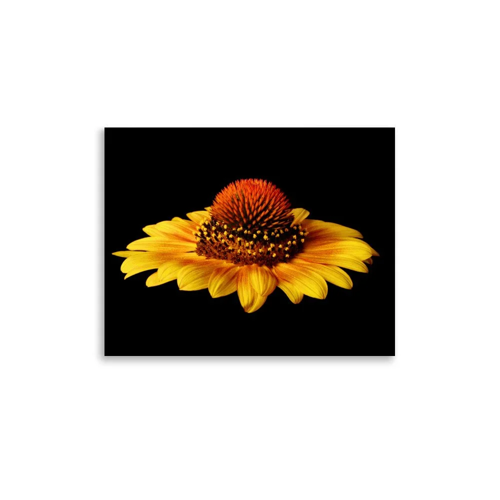 enhanced-matte-paper-poster-(in)-11x14-front-6a9d8627d1c8f.jpg