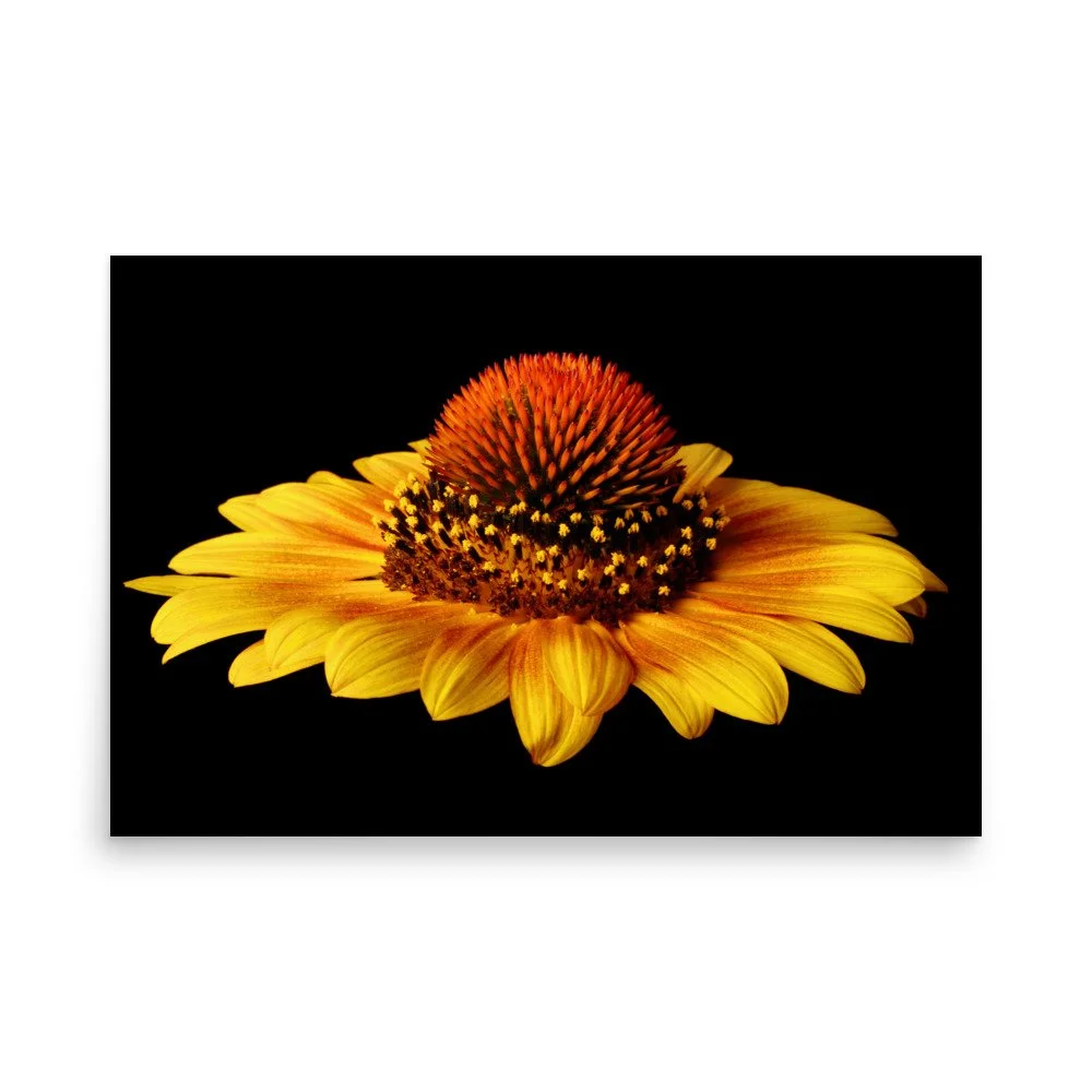 enhanced-matte-paper-poster-(in)-24x36-front-6a9d8627d1d0d.jpg