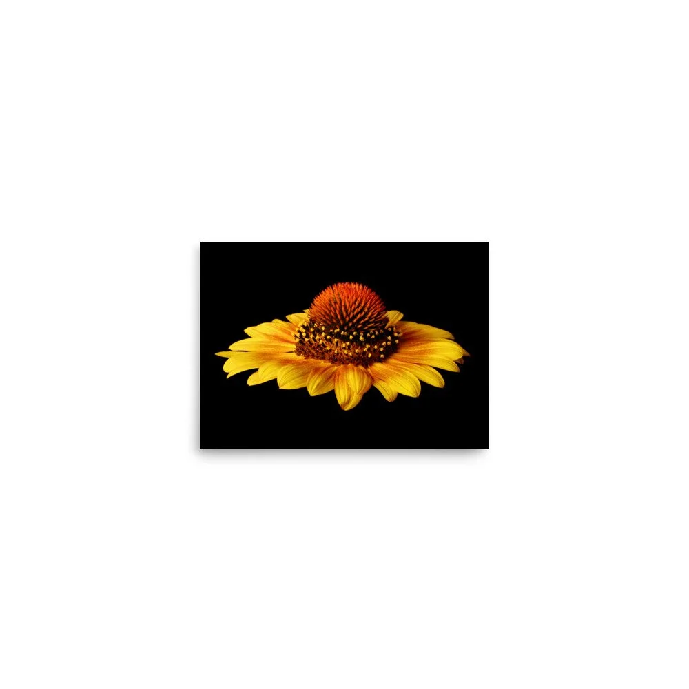 enhanced-matte-paper-poster-(in)-5x7-front-6a9d8627d1d7a.jpg