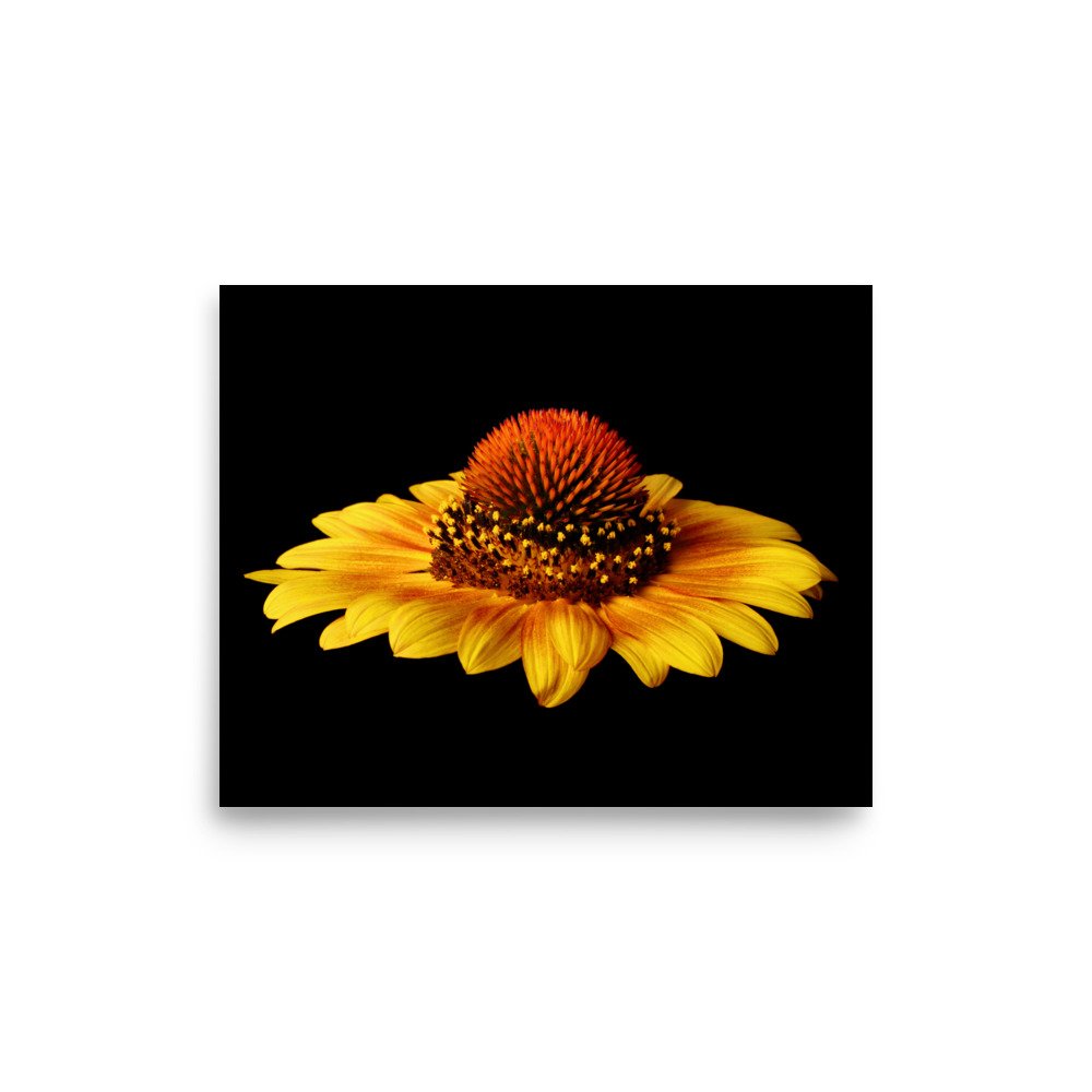 enhanced-matte-paper-poster-(in)-8x10-front-6a9d8627d1db0.jpg