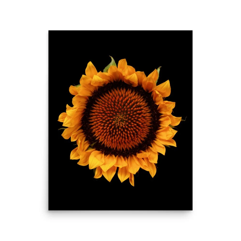 enhanced-matte-paper-poster-(in)-16x20-front-6a9d8efb87275.jpg