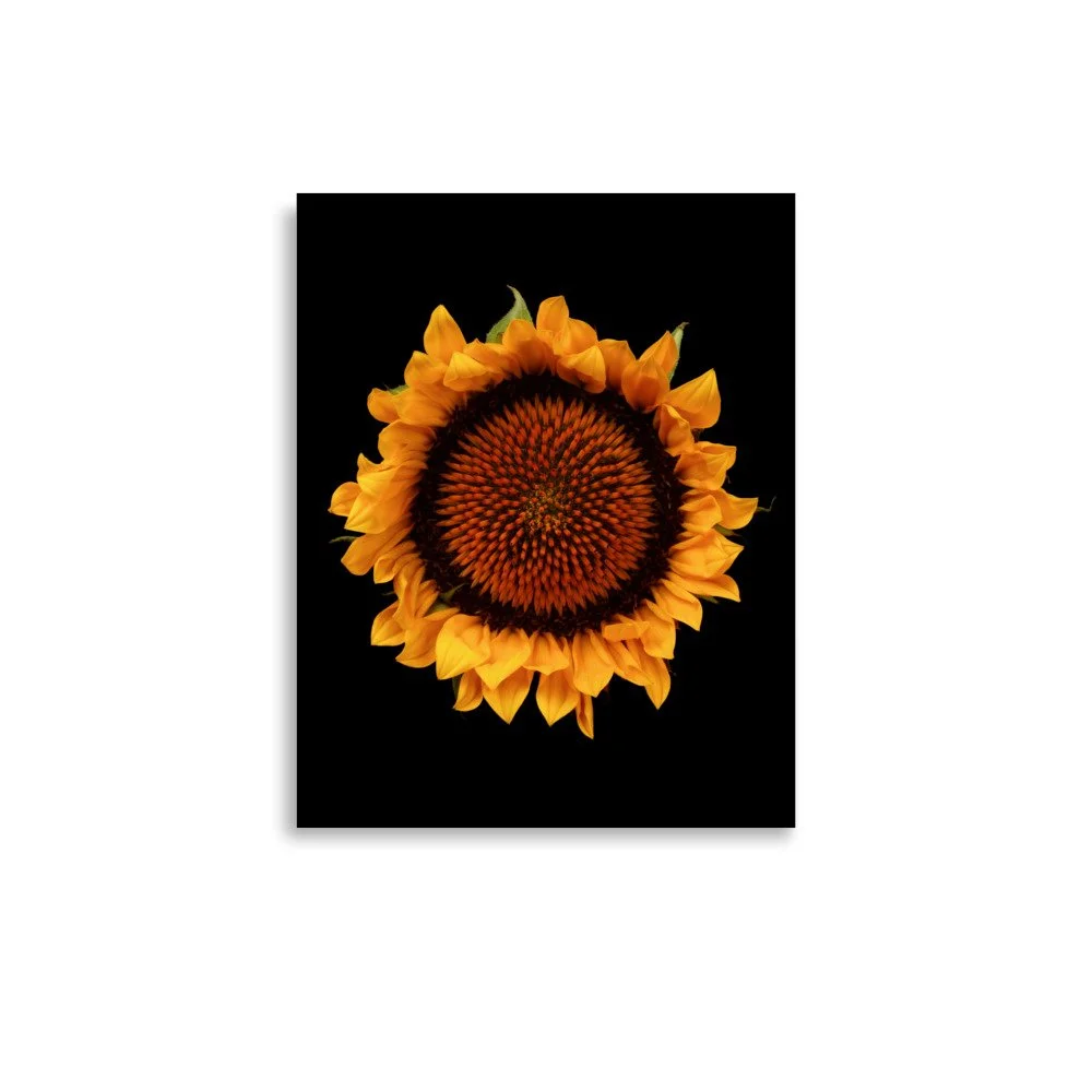 enhanced-matte-paper-poster-(in)-11x14-front-6a9d8efb87e97.jpg