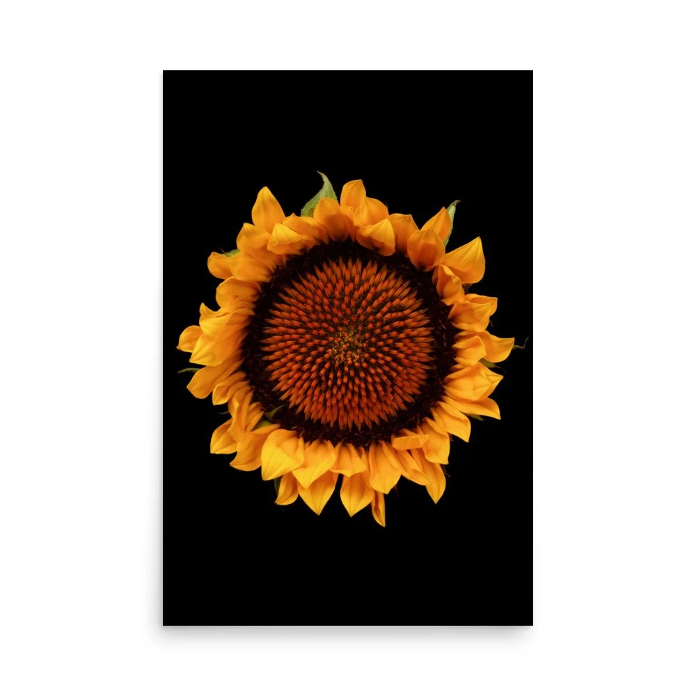enhanced-matte-paper-poster-(in)-24x36-front-6a9d8efb87f3c.jpg