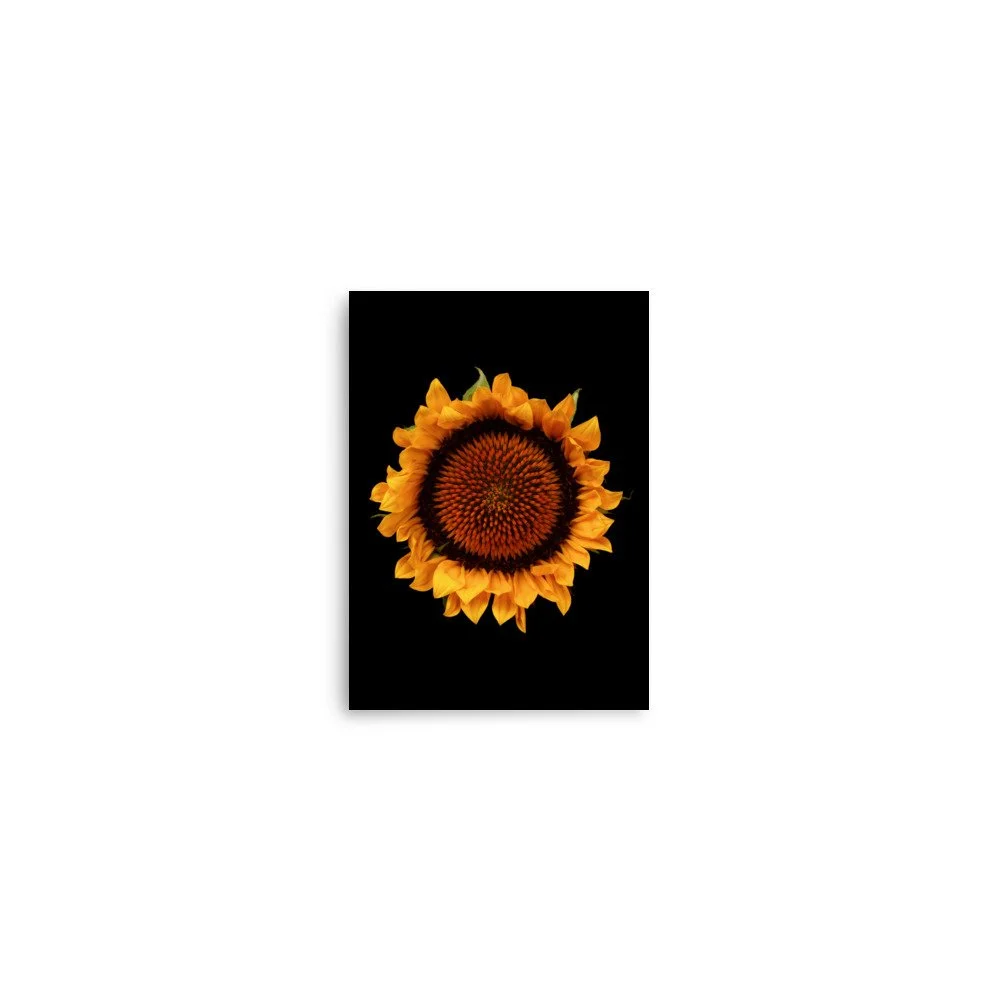 enhanced-matte-paper-poster-(in)-5x7-front-6a9d8efb87fad.jpg