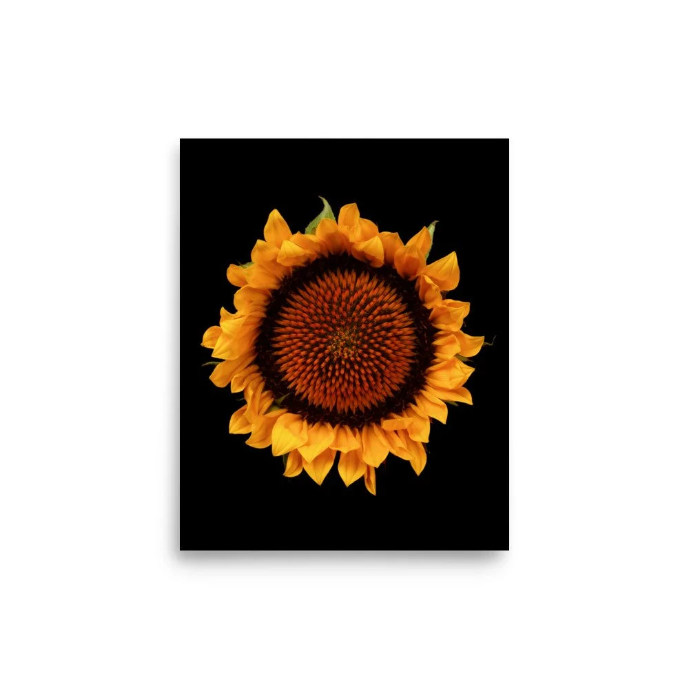 enhanced-matte-paper-poster-(in)-8x10-front-6a9d8efb87ff1.jpg