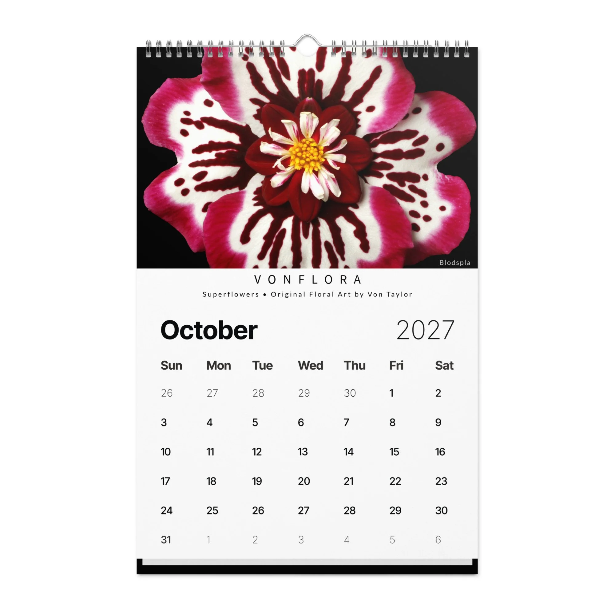 wall-calendar-(2027)-start-w-sun-11x17-front-6ad35a3b572fc.jpg