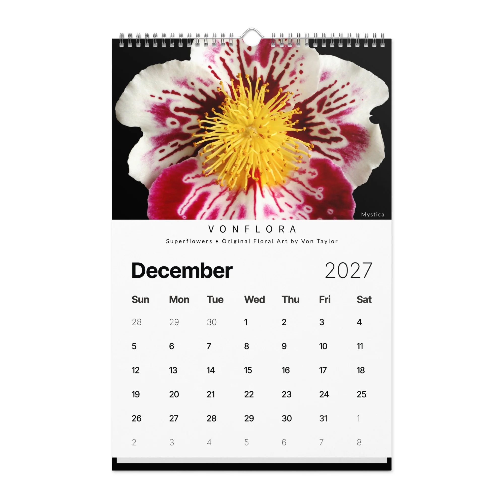 wall-calendar-(2027)-start-w-sun-11x17-front-6ad35a3b58584.jpg