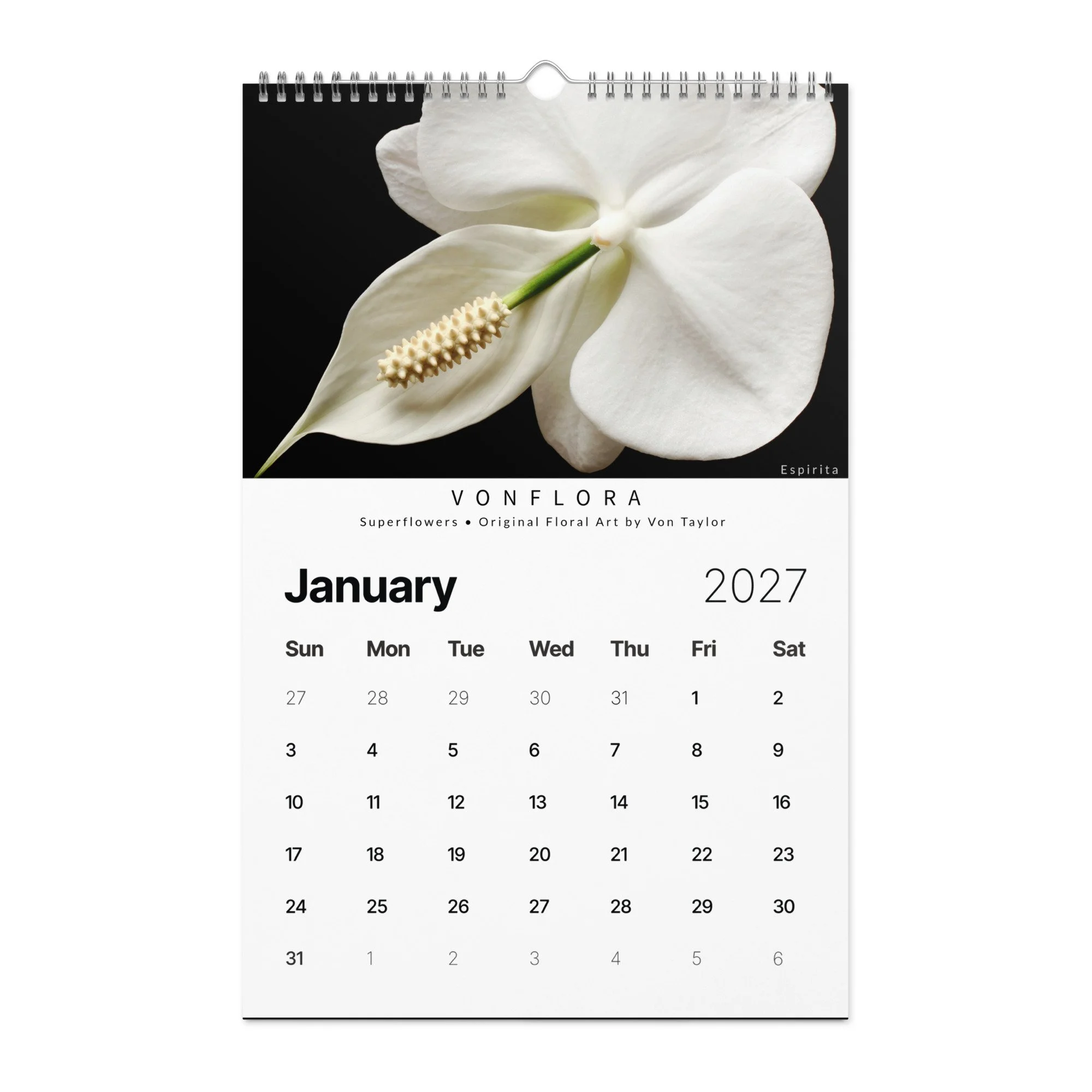 wall-calendar-(2027)-start-w-sun-11x17-front-6adcce814d071.jpg