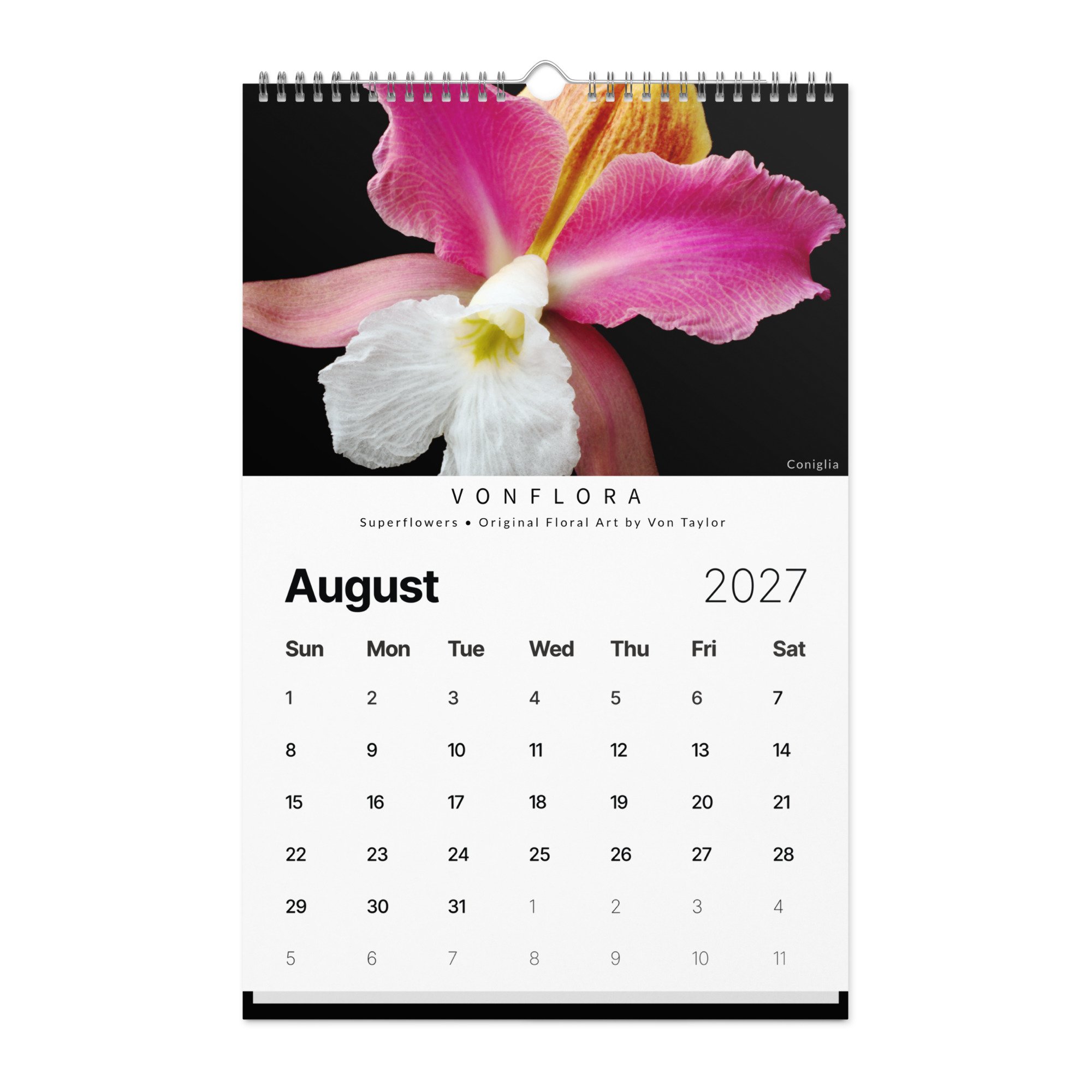 wall-calendar-(2027)-start-w-sun-11x17-front-6adcce814d342.jpg
