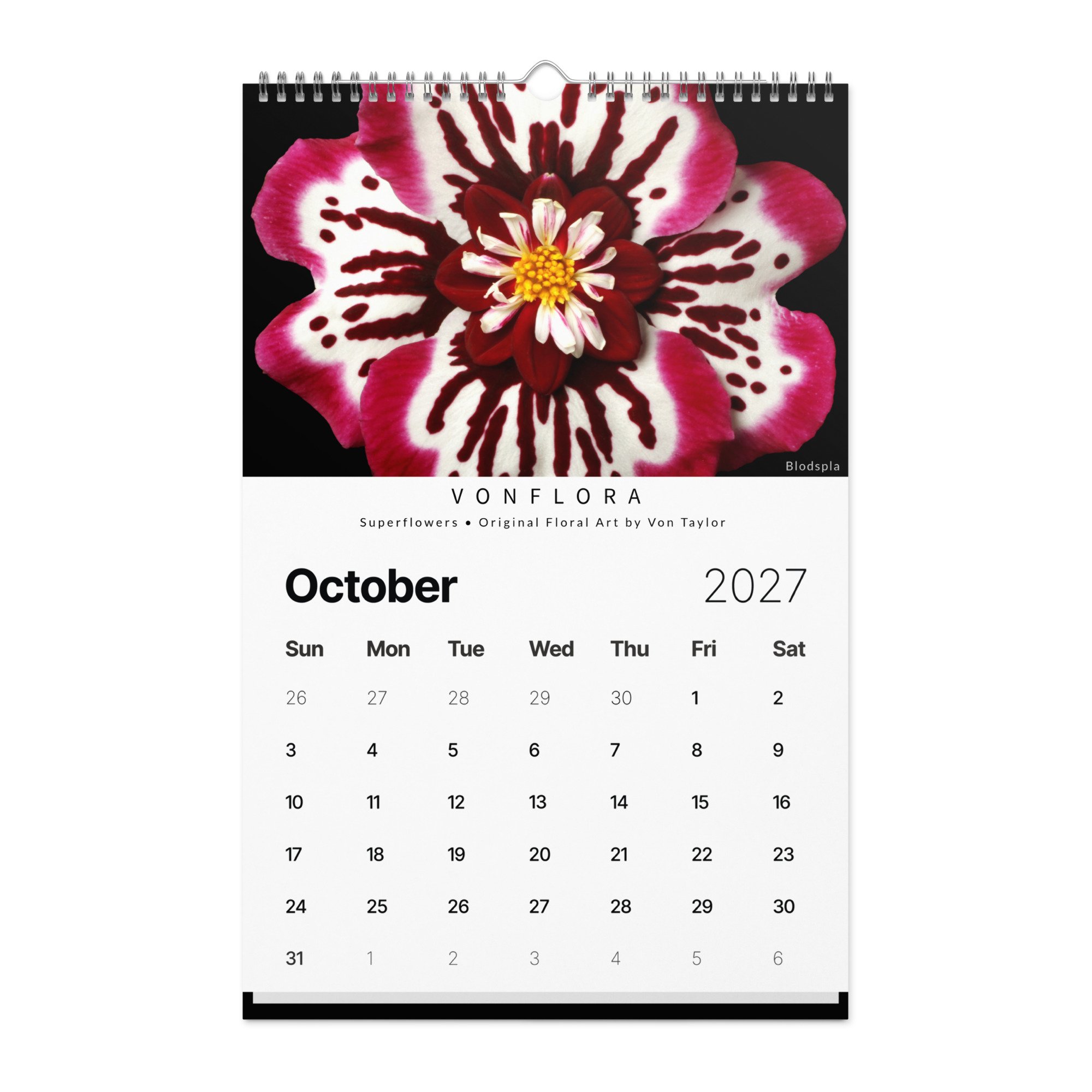 wall-calendar-(2027)-start-w-sun-11x17-front-6adcce814d3f5.jpg