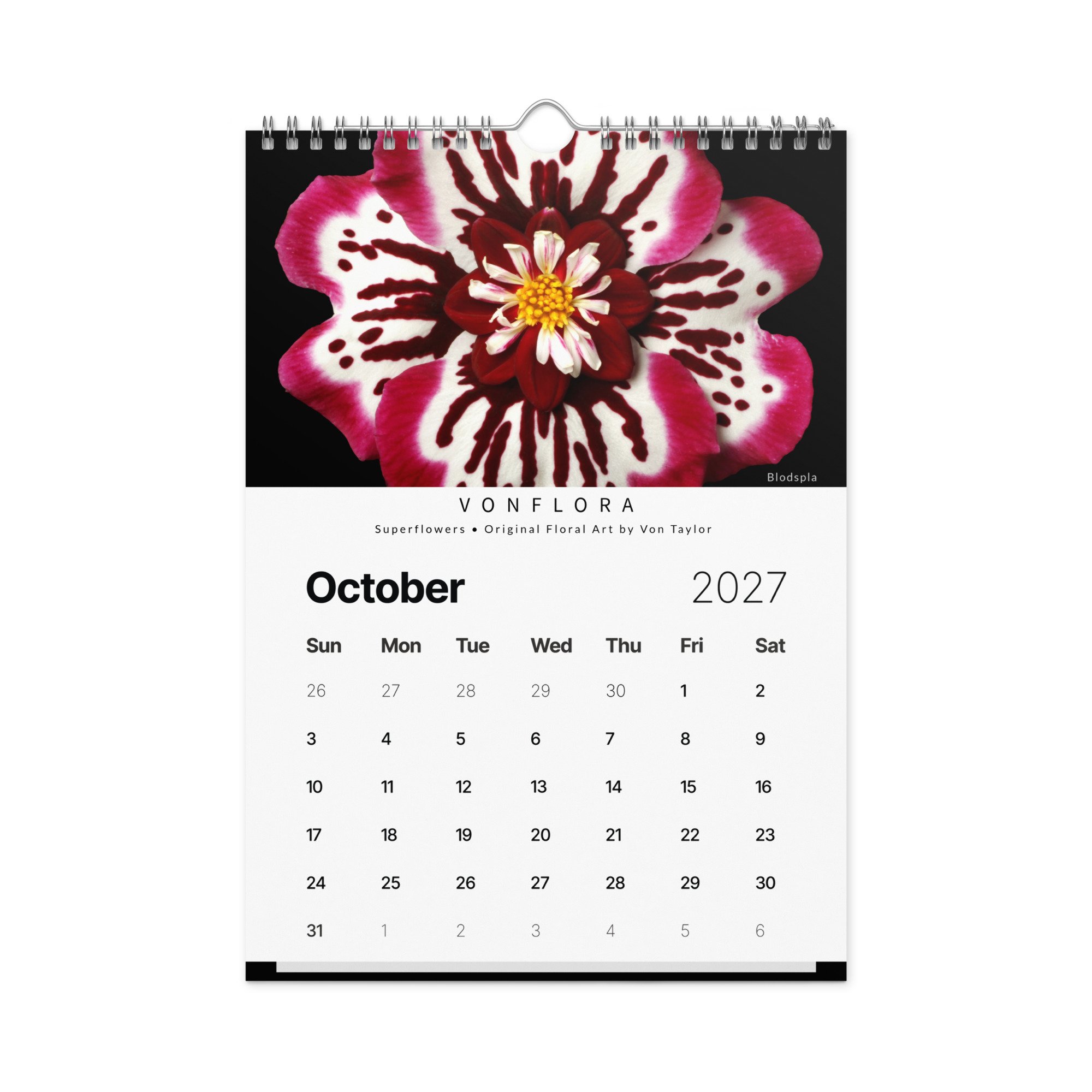 wall-calendar-(2027)-start-w-sun-8.26x11.69-front-6adcce814da5d.jpg