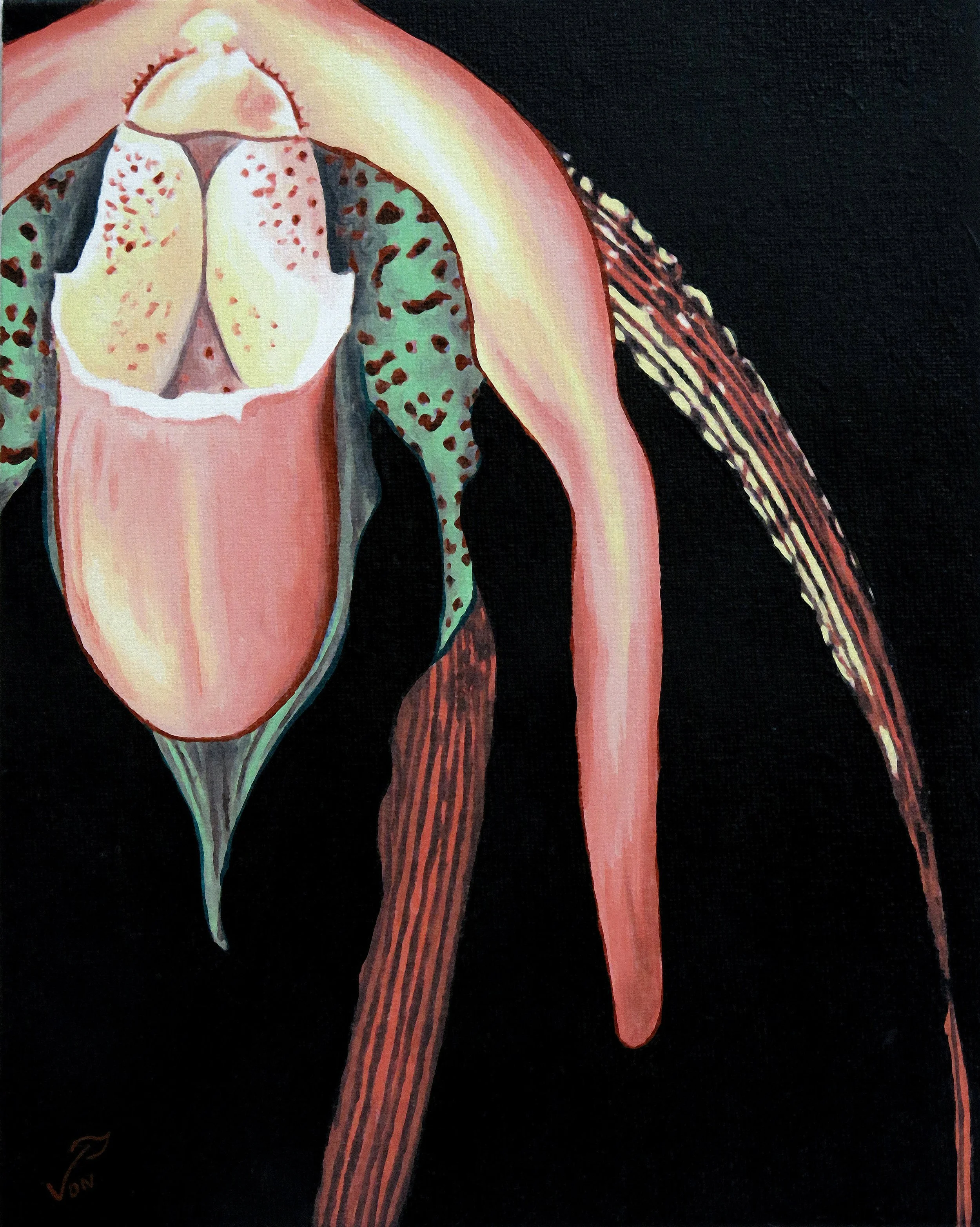 Sextapusa Close-up - Original Oil Painting - 8x10
