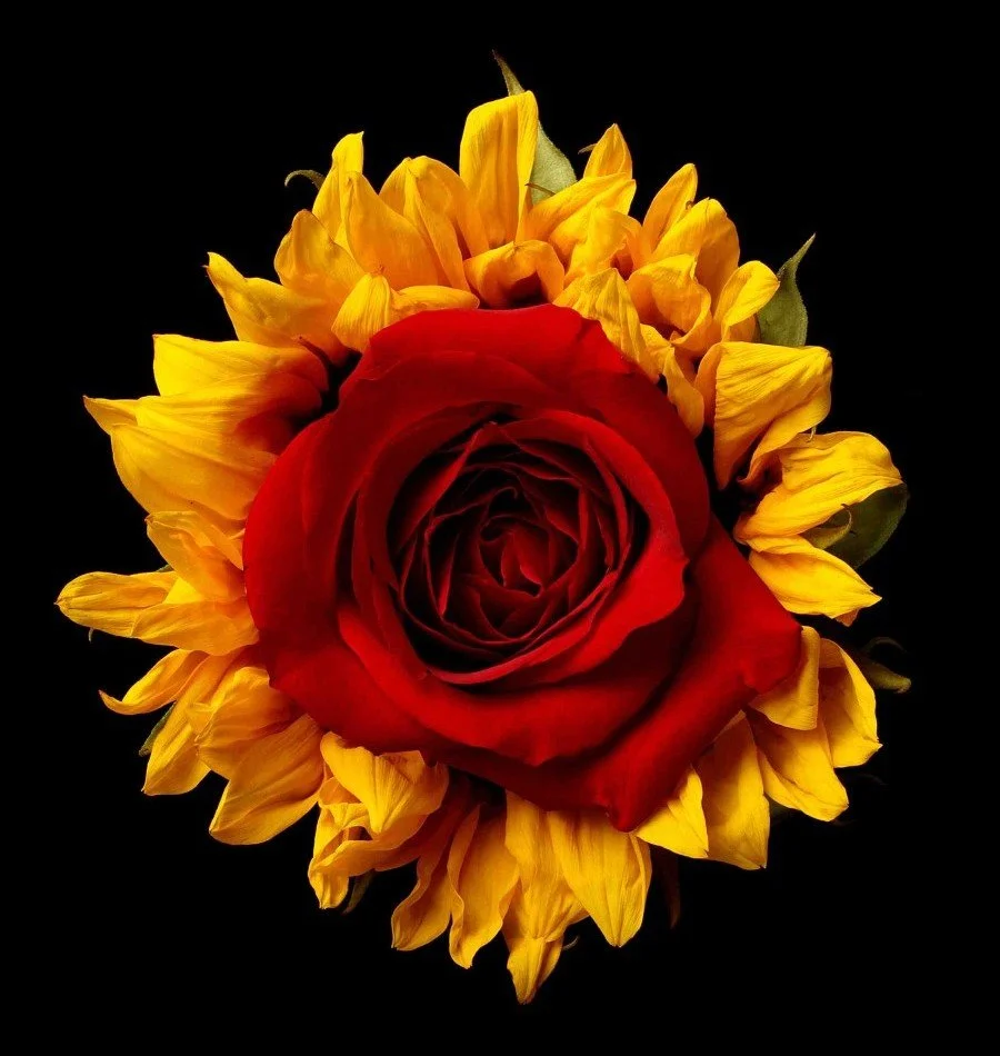 Vonflora Superflower 17.jpg