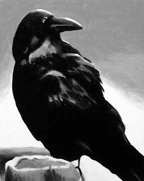 Bird8.jpg