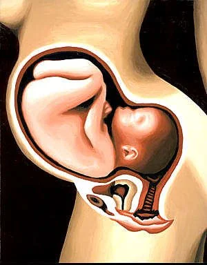 pregnancy2.jpg