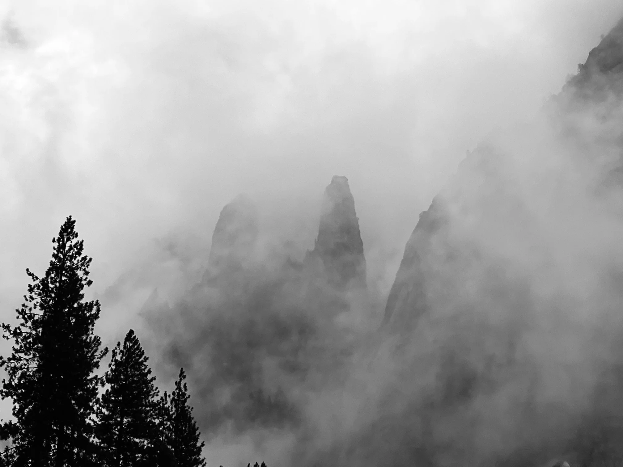 IMG_1008.jpg