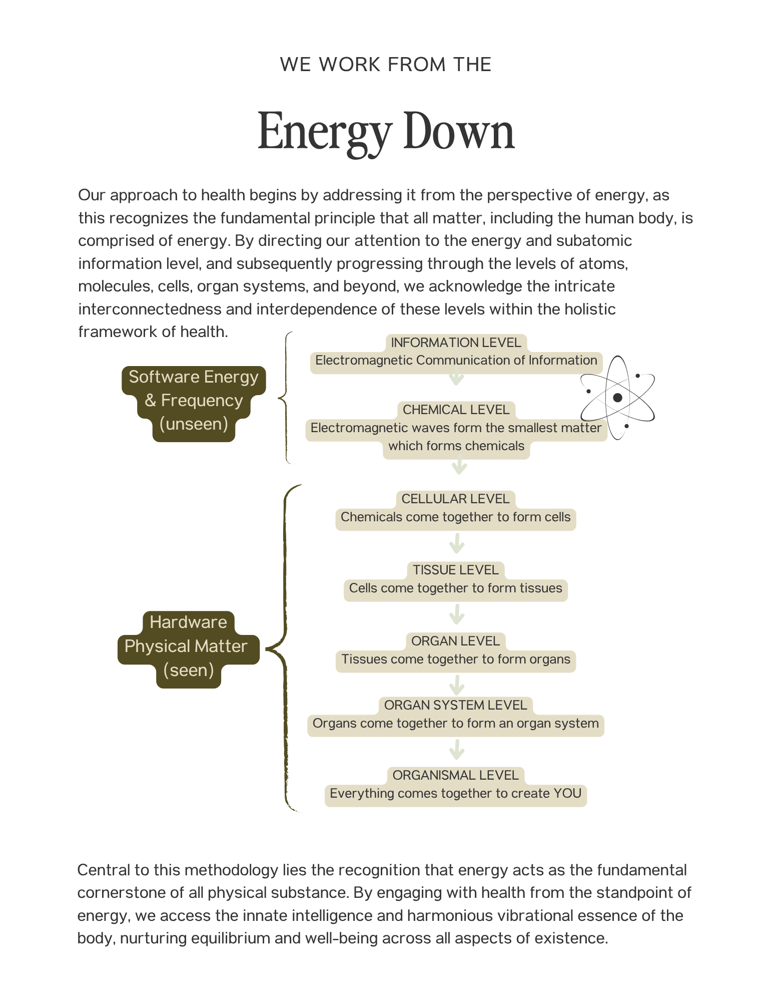 Flowchart detailing levels of energy from unseen software energy and frequency to visible hardware and physical matter, including information, chemical, cellular, tissue, organ, organ system, and organism levels, illustrating the interconnectedness of energy and matter in health.