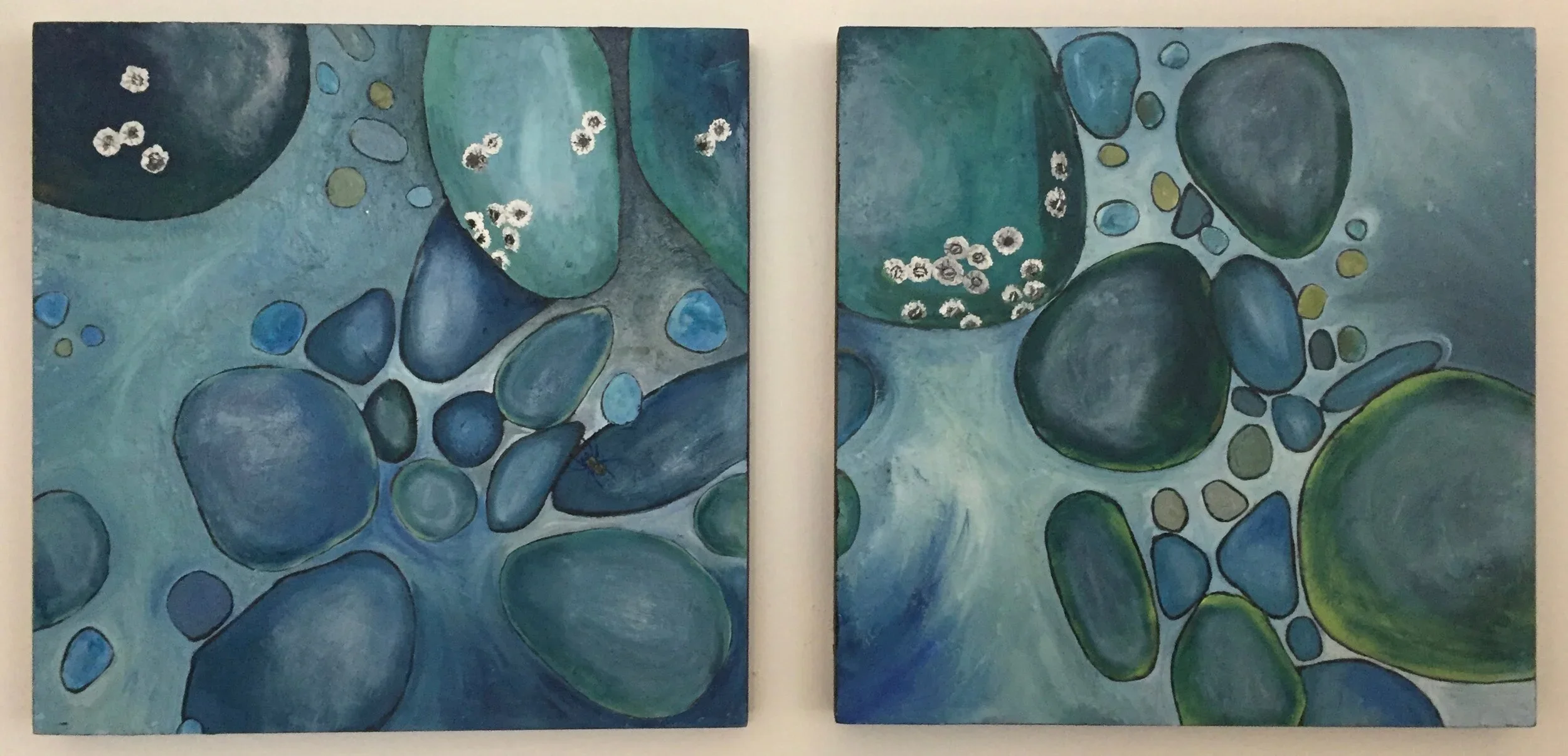 Prouts Neck Barnacles