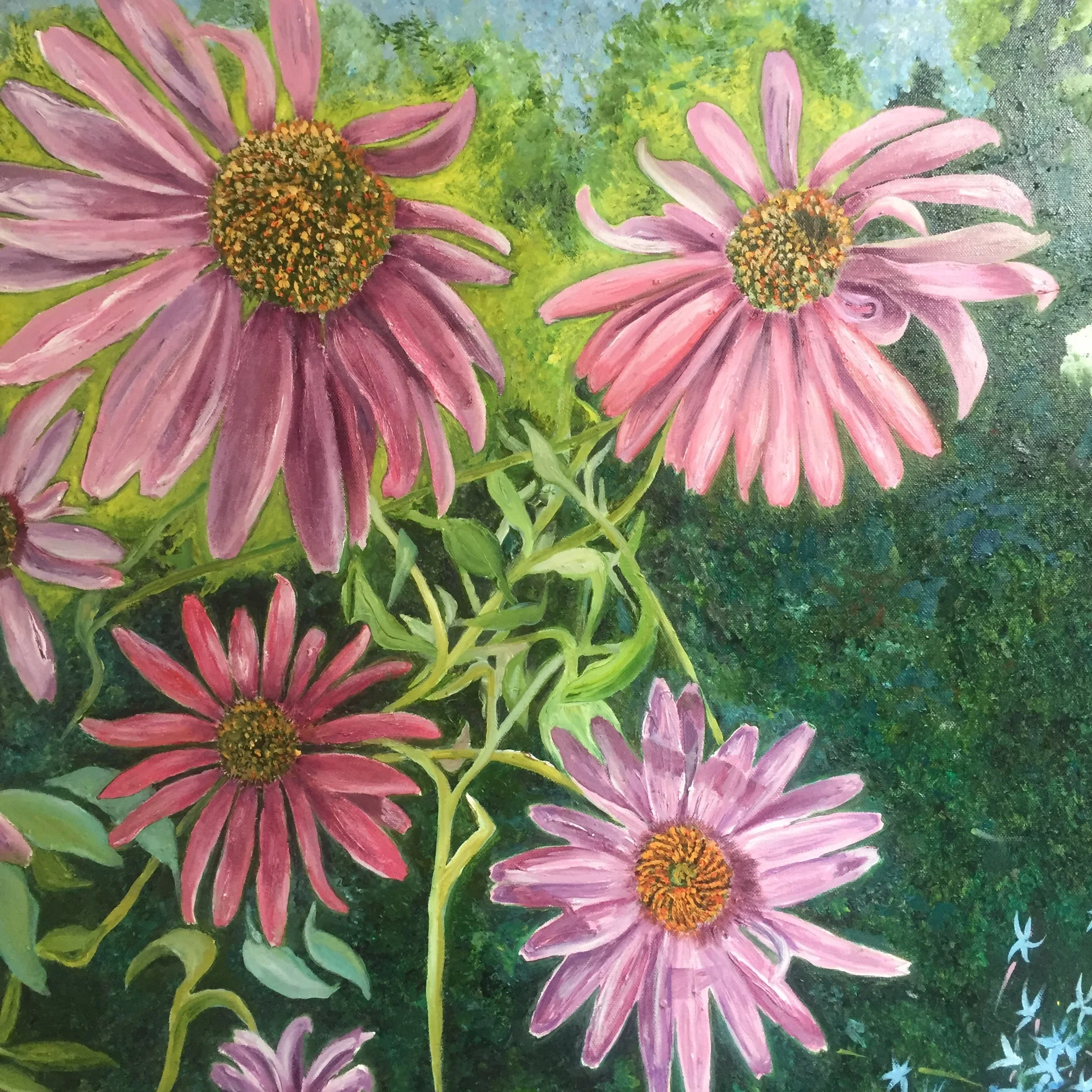 Pink Daisies
