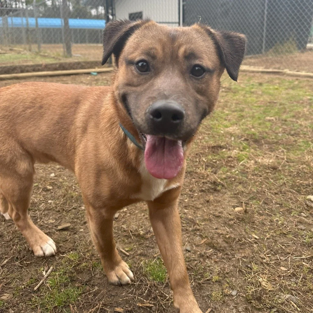 After 11 Months, YODA Found Home.