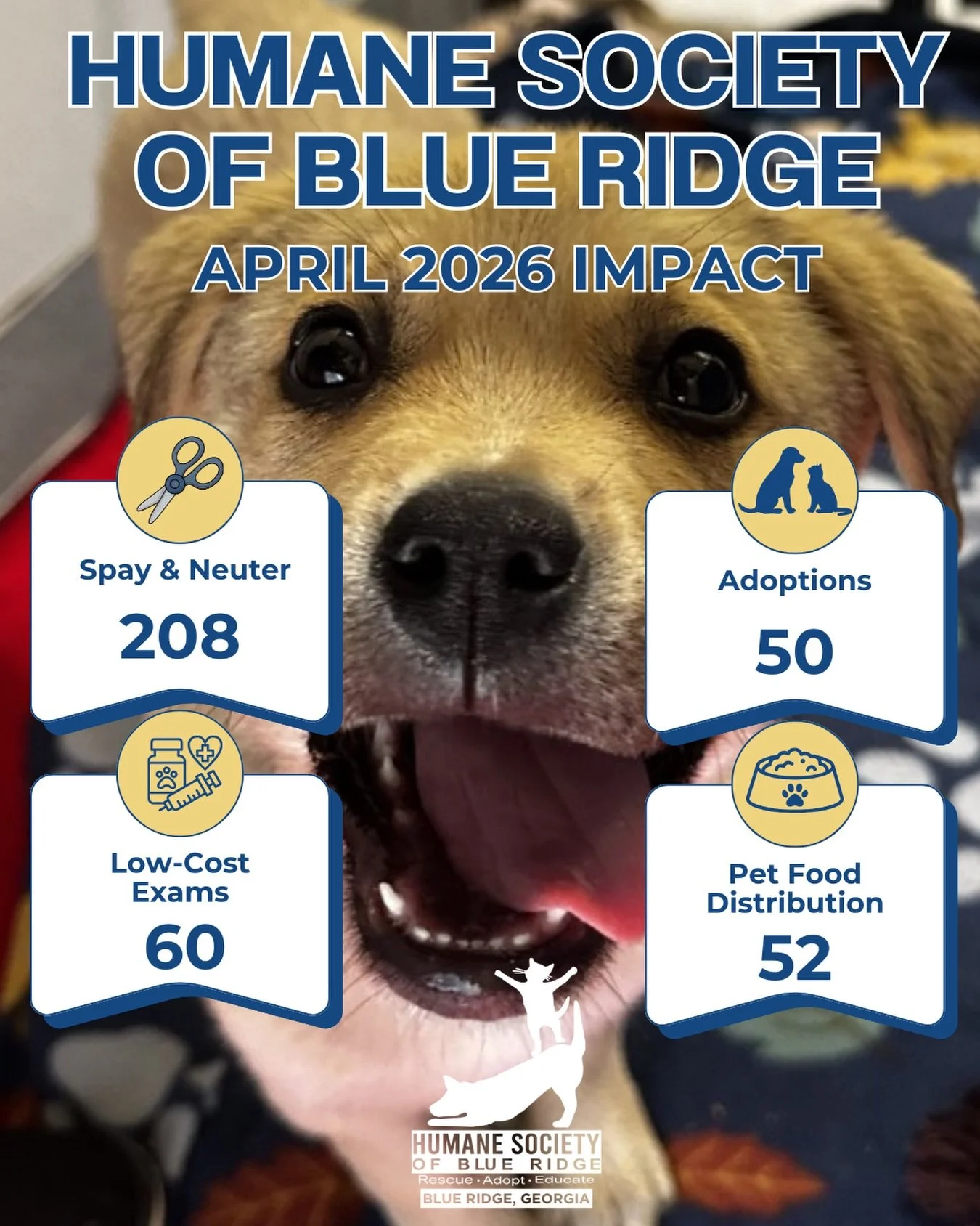 📣 April 2026 Community Impact 

Because of your support, we were able to:

✂️ Spay &amp; neuter 208 animals
🏡 Help 50 dogs &amp; cats find loving homes
🩺 Provide 60 low-cost annual exams
🍗 Distribute pet food to 52 people for their animals on our