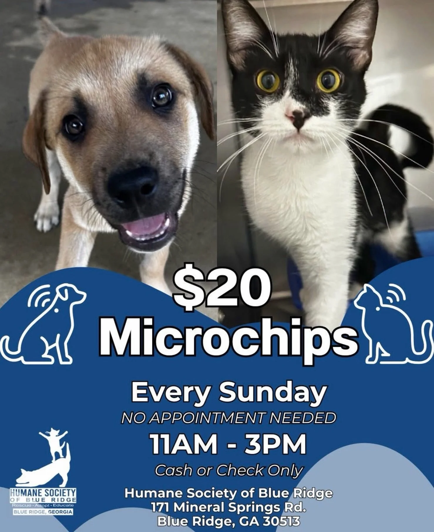 Collars break. Tags fall off. Gates get left open. 

Even the most loved pets can become lost. 💔

A microchip provides permanent identification that stays with your pet for life and can help shelters and veterinary clinics reconnect lost pets with t