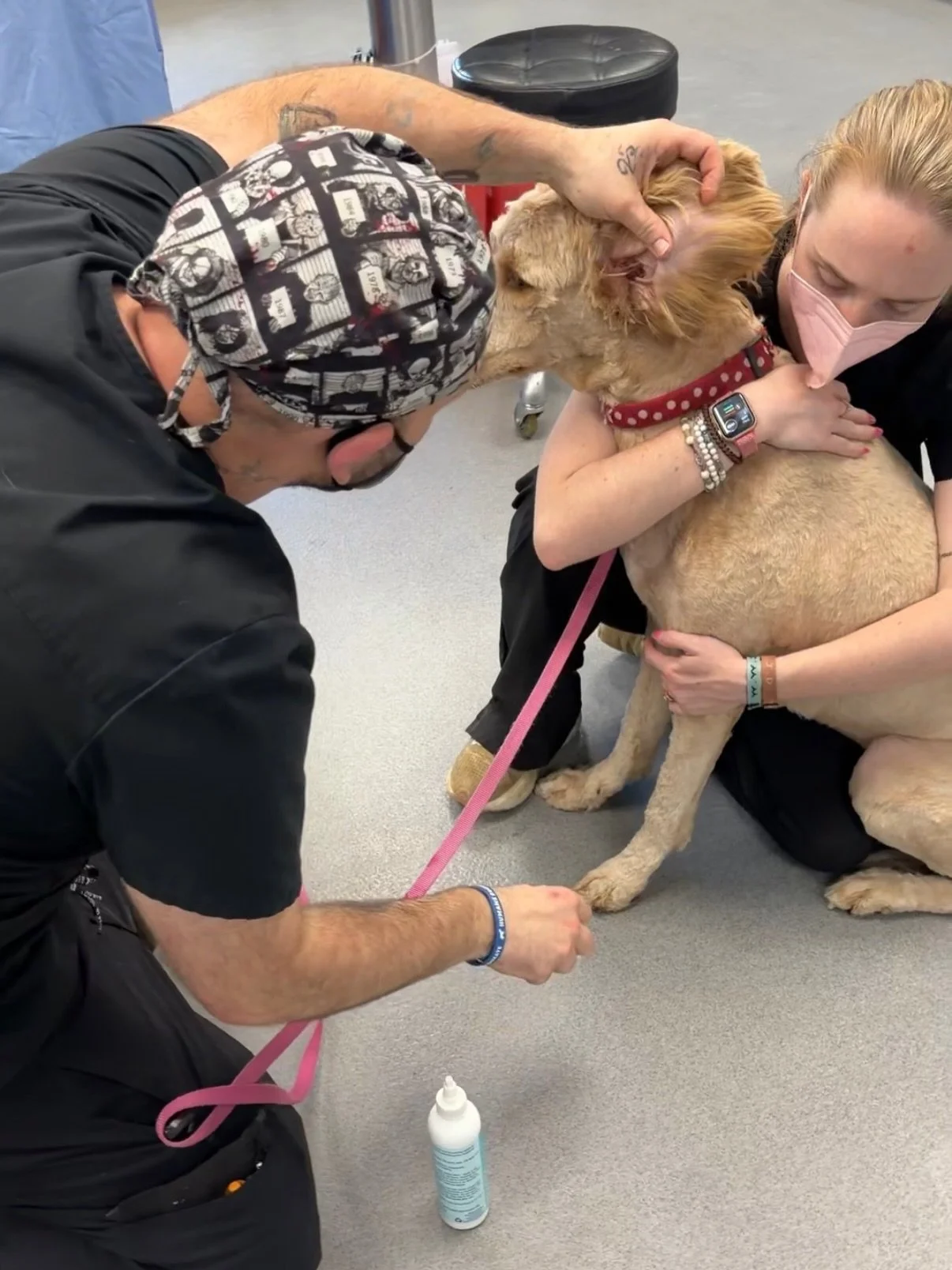 🐾 LAST-MINUTE OPENINGS AVAILABLE! 🐾

Due to a few cancellations, we have 8 appointment openings available TOMORROW, June 9, for our $99 Annual Vet Exams at the Humane Society of Blue Ridge Veterinary Clinic.

Your $99 exam includes:
✔ Comprehensive