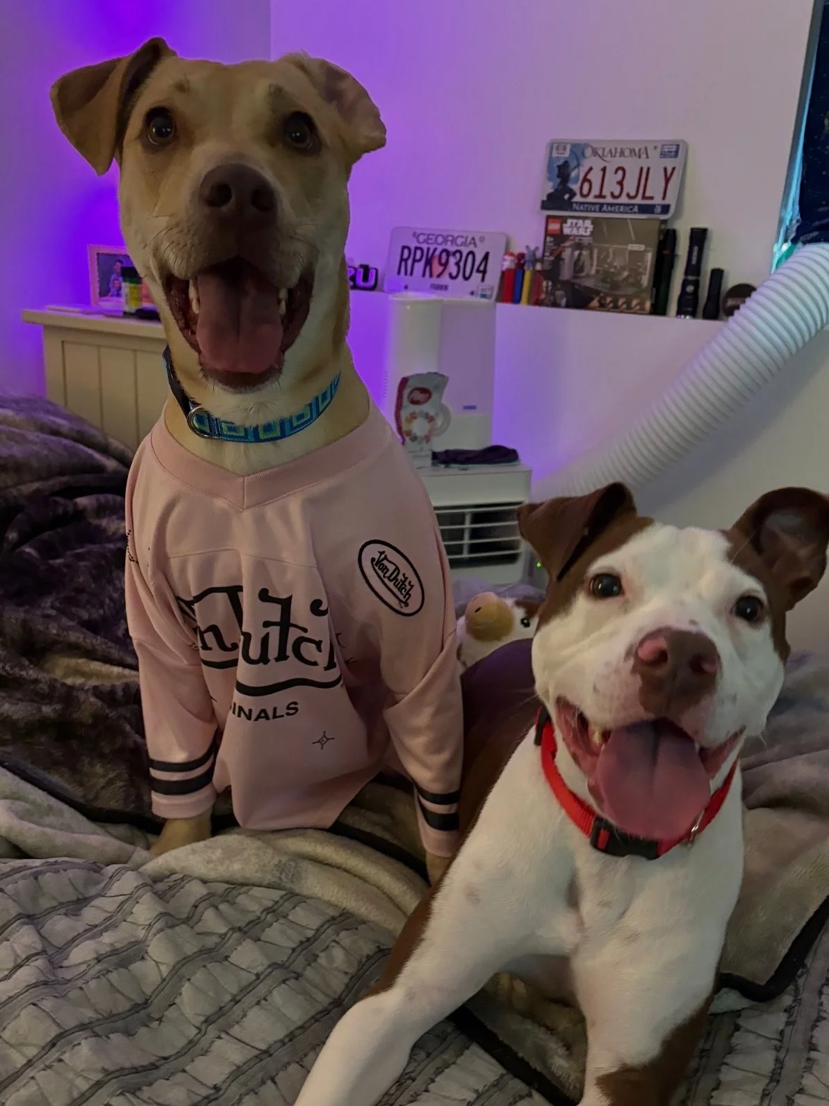 📣 MAY WE HAVE YOUR ATTENTION FOR A VERY SPECIAL ANNOUNCEMENT! 📣

We're overjoyed to share that MANDY has been adopted!

Now known as Mae, she's beginning a brand new chapter with an incredible family who already knows what it means to love a long t