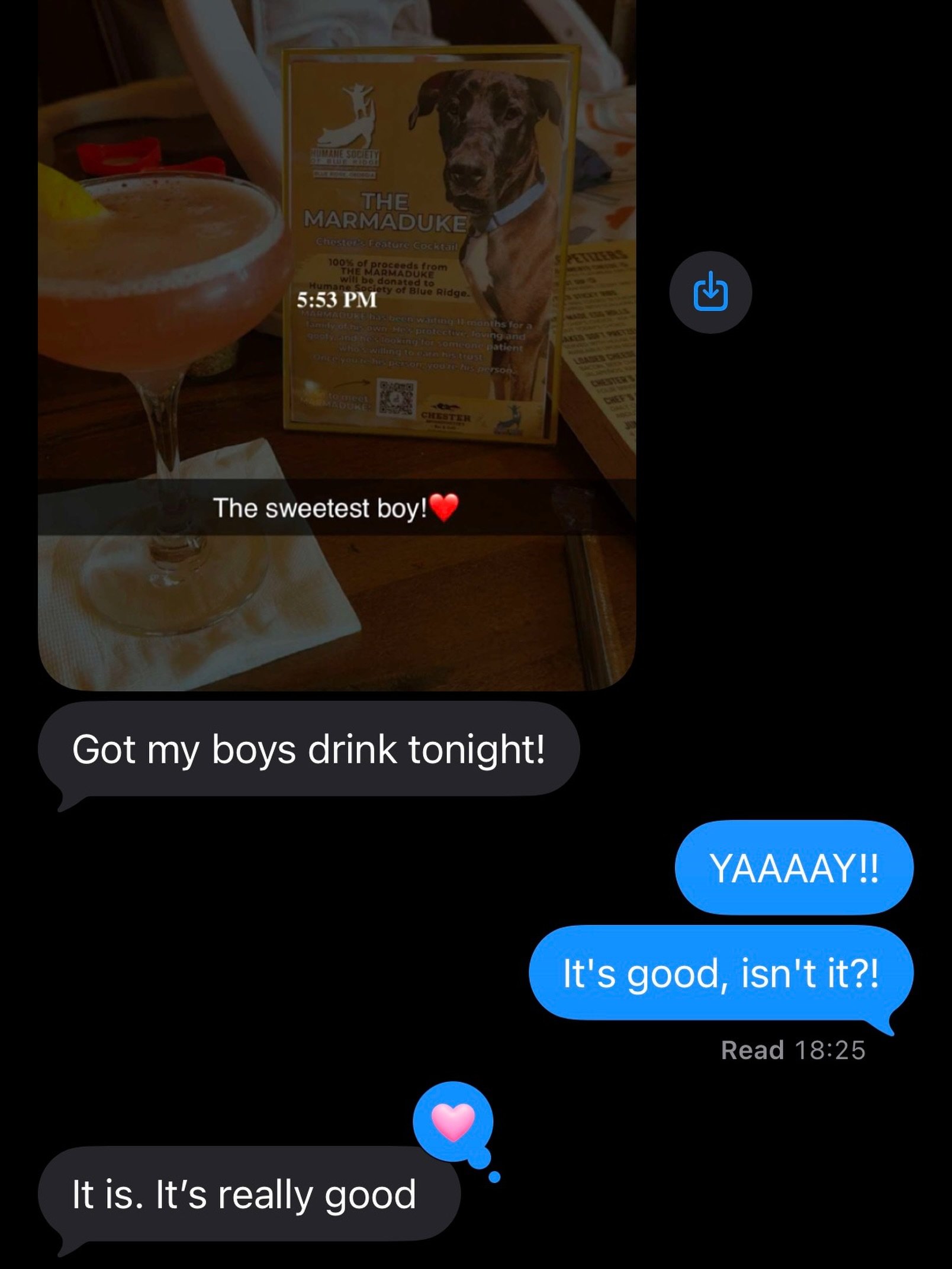 Have you been to @chestersblueridge to try THE MARMADUKE yet?!

Cocktails for a Cause is in full swing at Chester's! 

Every two weeks through November 1, one of our long-stay adoptable dogs will have a cocktail named after them and all profits will 