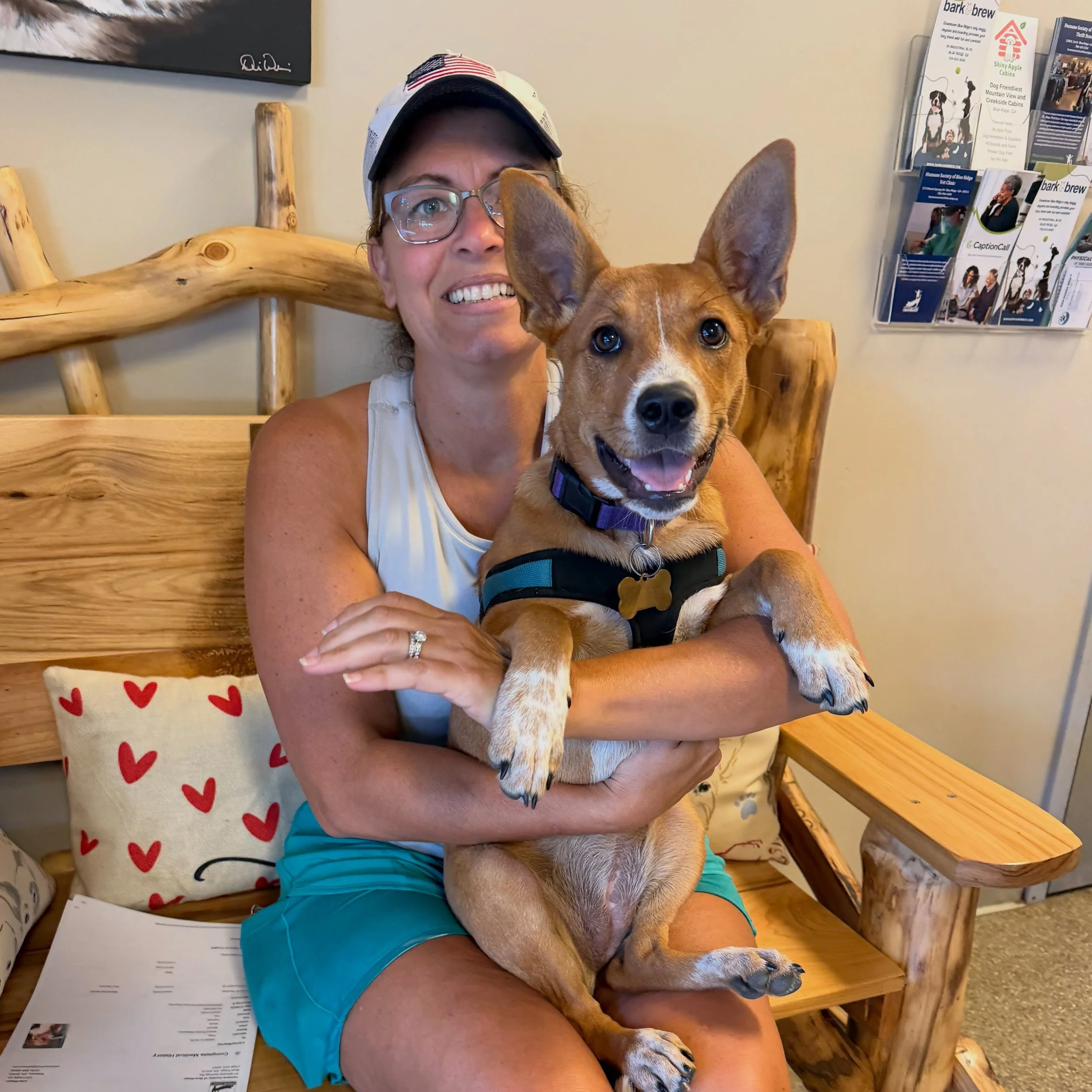 Some adoption updates remind us just how far a life can come. 

When LACY first arrived at @humanesocietyblueridge , there was no indication of just how sick she was about to become. 

After intake, she tested positive for parvo.

Parvo can be especi