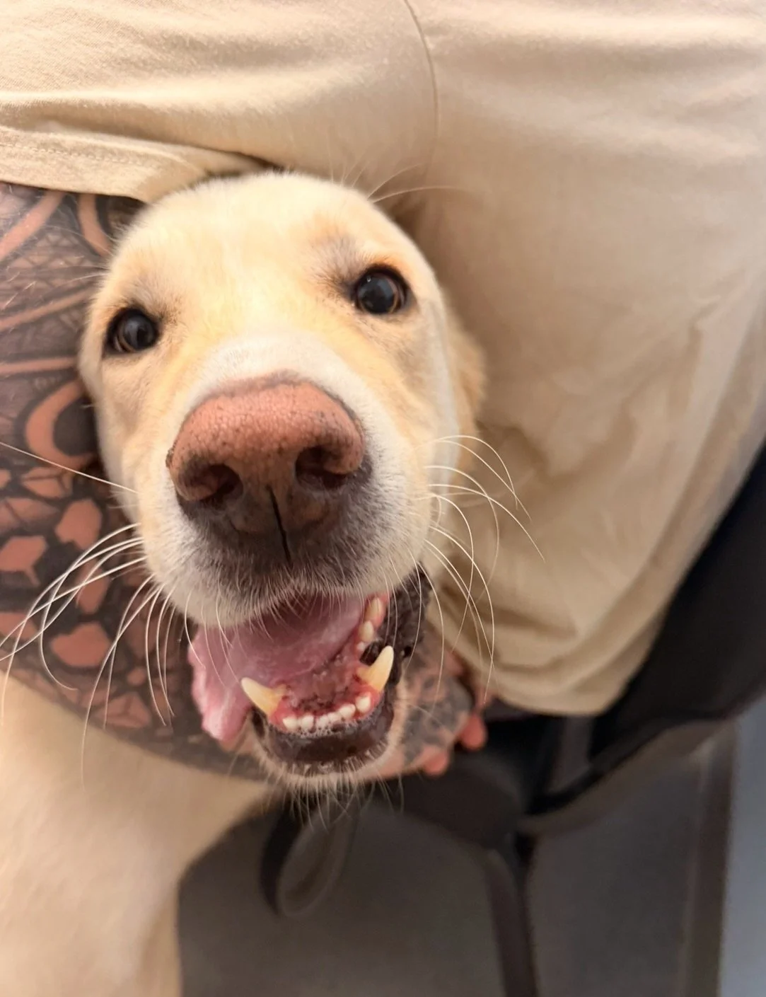 That's a wrap on our October $99 Veterinary Exams!

Thank you to everyone who brought their pets to see us this month! We're grateful to be able to offer veterinary care to more pets and families throughout our community.

A special thank-you to Dr. 